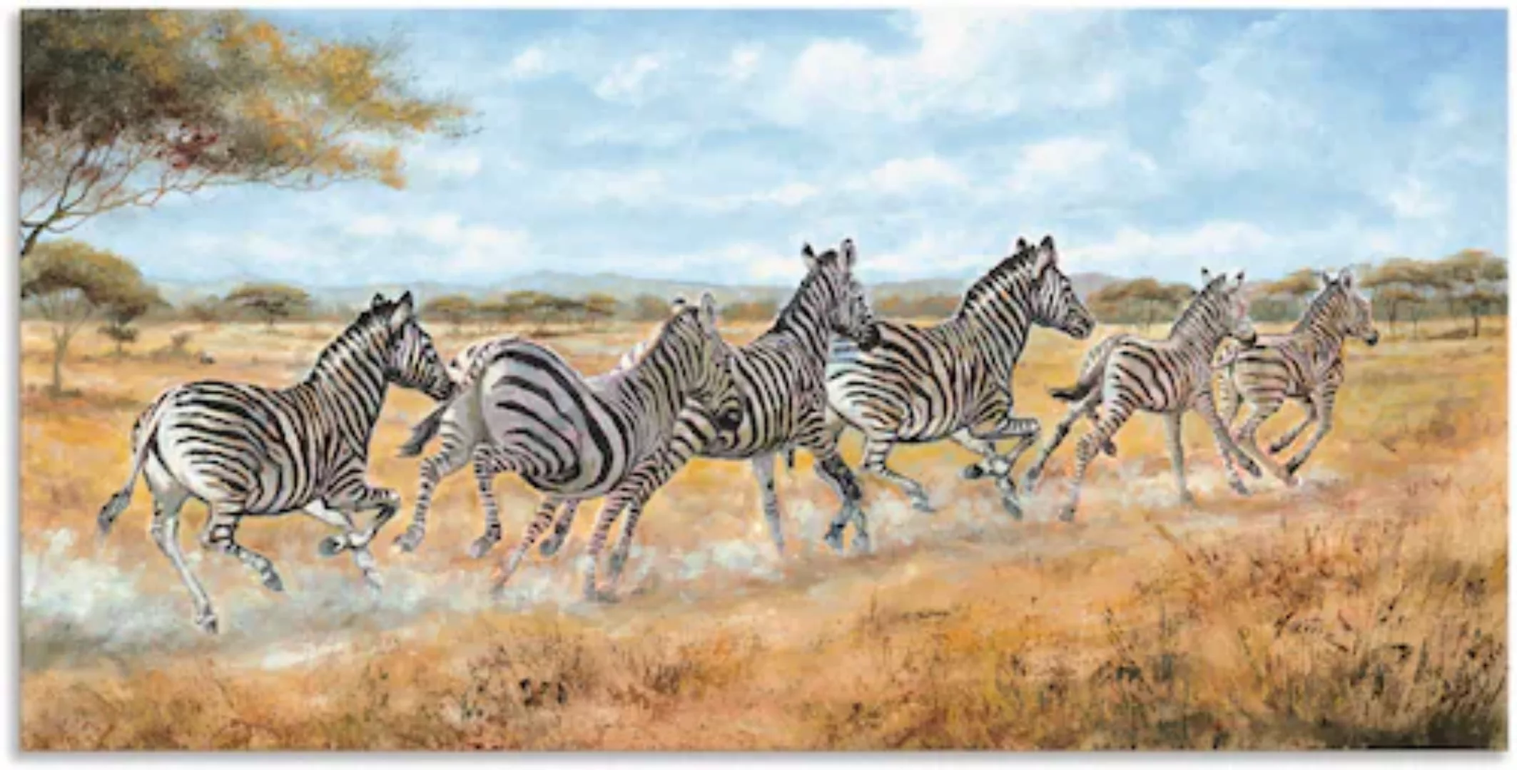 Artland Alu-Dibond-Druck "Laufende Zebras", Wildtiere, (1 St.) günstig online kaufen