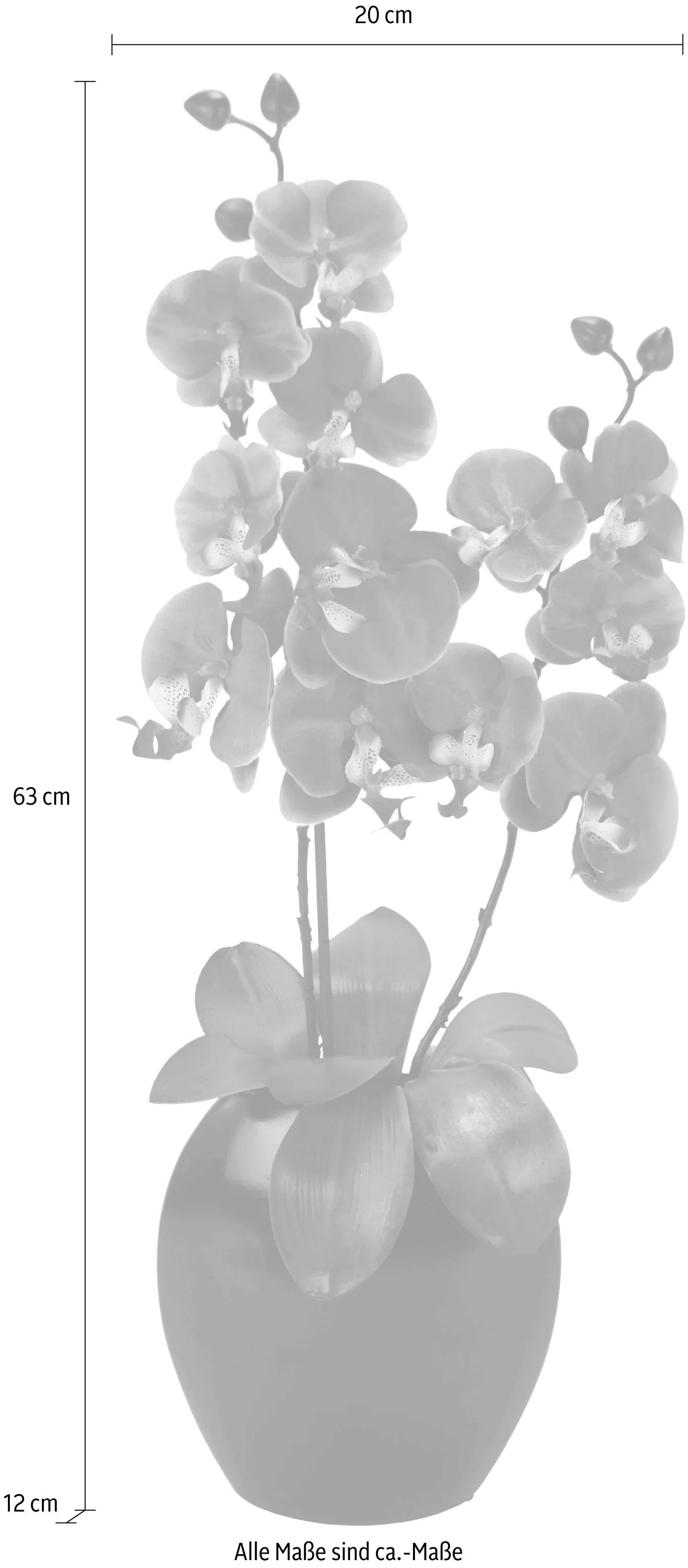 I.GE.A. Kunstpflanze "Phalaenopsis in Vase" günstig online kaufen