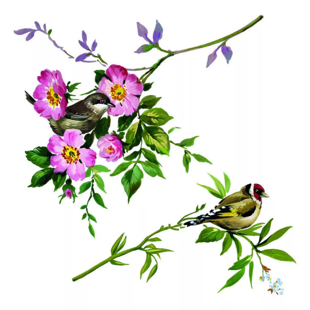 Komar Fenstersticker Spring Fever Vögel Spring Fever B/L: ca. 31x31 cm günstig online kaufen