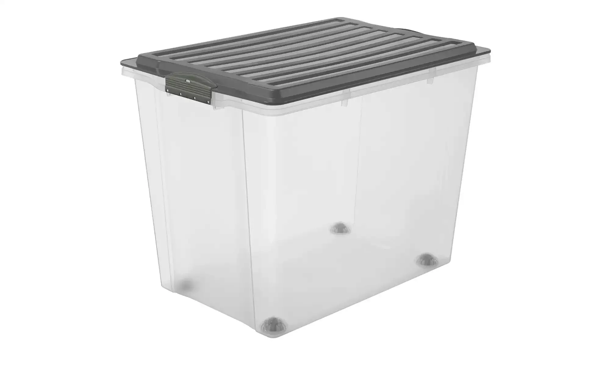 Rotho Aufbewahrungsbox mit Deckel - grau - Kunststoff - 39,5 cm - 43,5 cm - günstig online kaufen