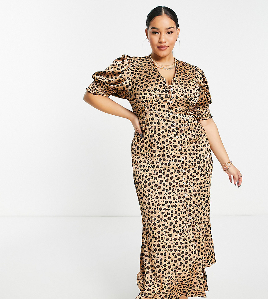 Never Fully Dressed Plus – Lindos – Maxikleid mit Knöpfen und Leopardenmust günstig online kaufen