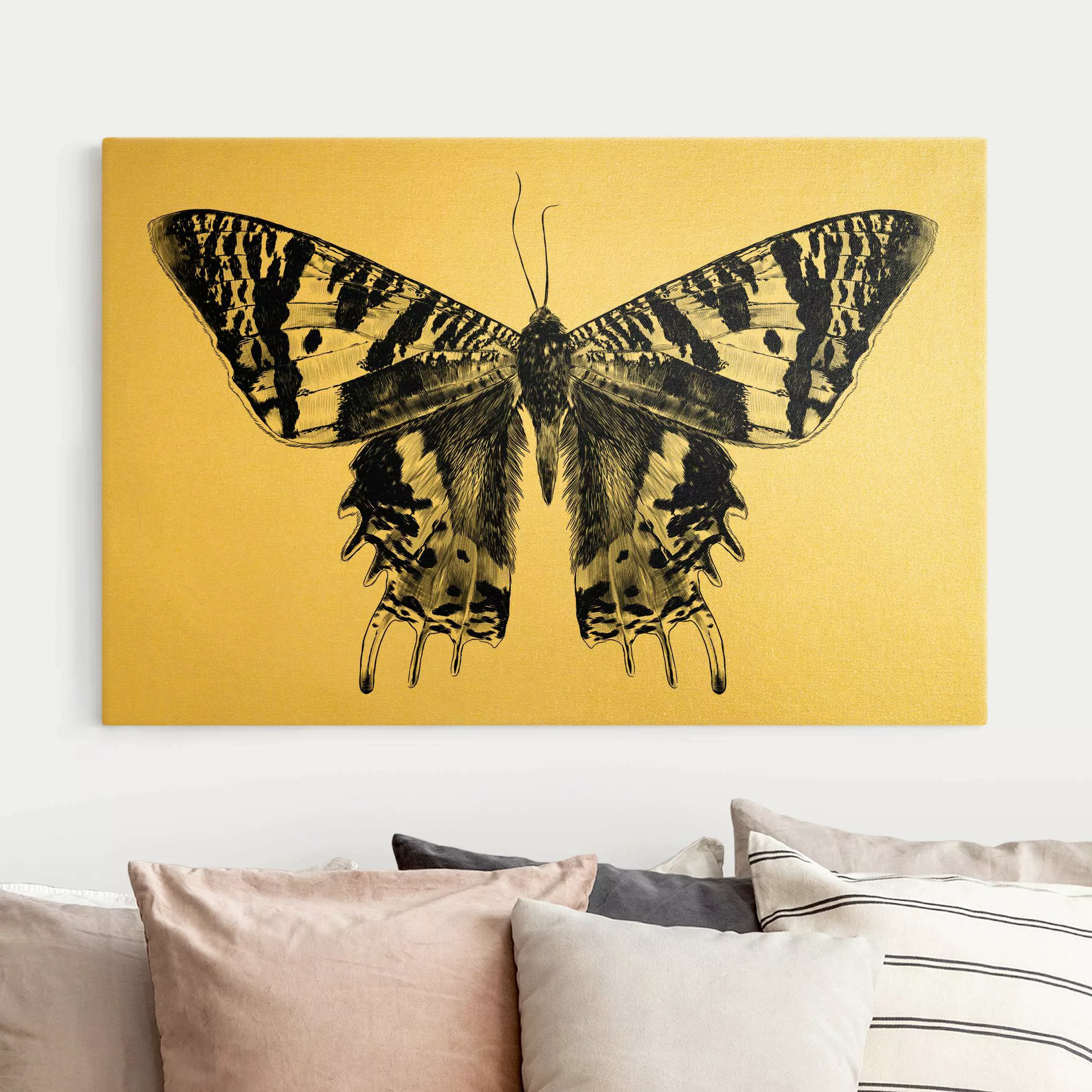 Leinwandbild Illustration fliegender Madagaskar Schmetterling günstig online kaufen