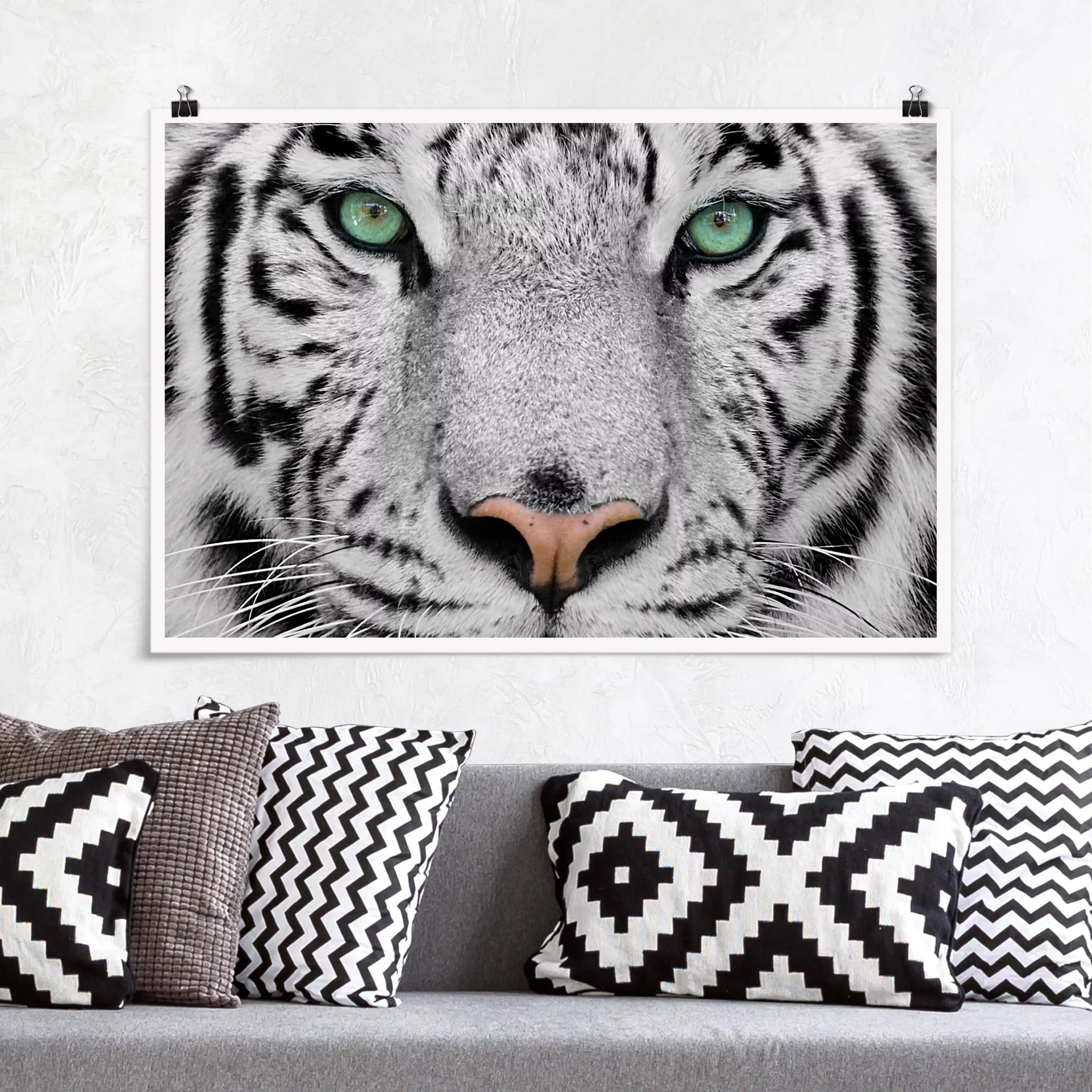 Poster Tiere - Querformat Weißer Tiger günstig online kaufen