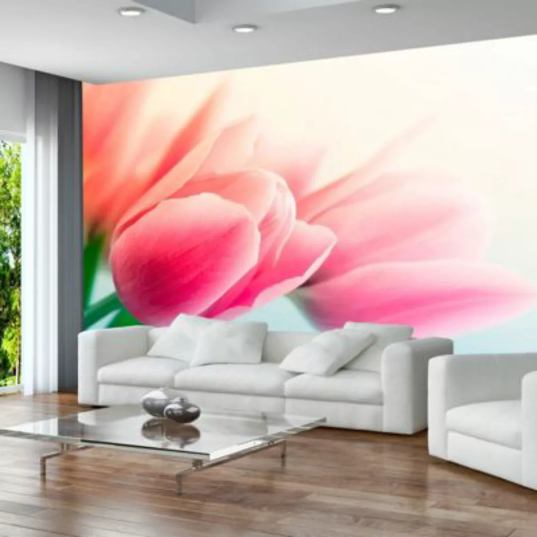 artgeist Fototapete Frühling und Tulpen mehrfarbig Gr. 350 x 270 günstig online kaufen