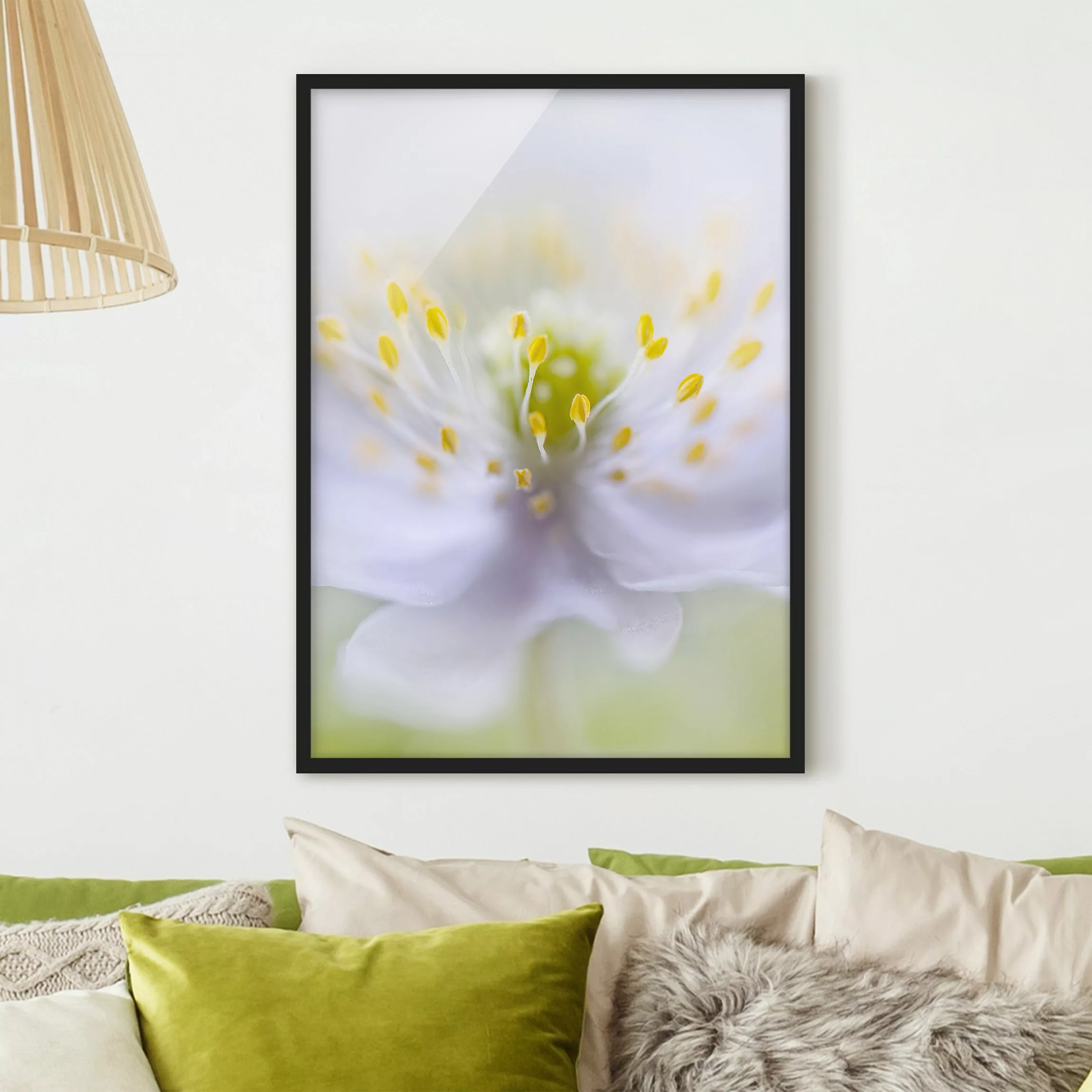 Bild mit Rahmen Blumen - Hochformat Anemonen Schönheit günstig online kaufen