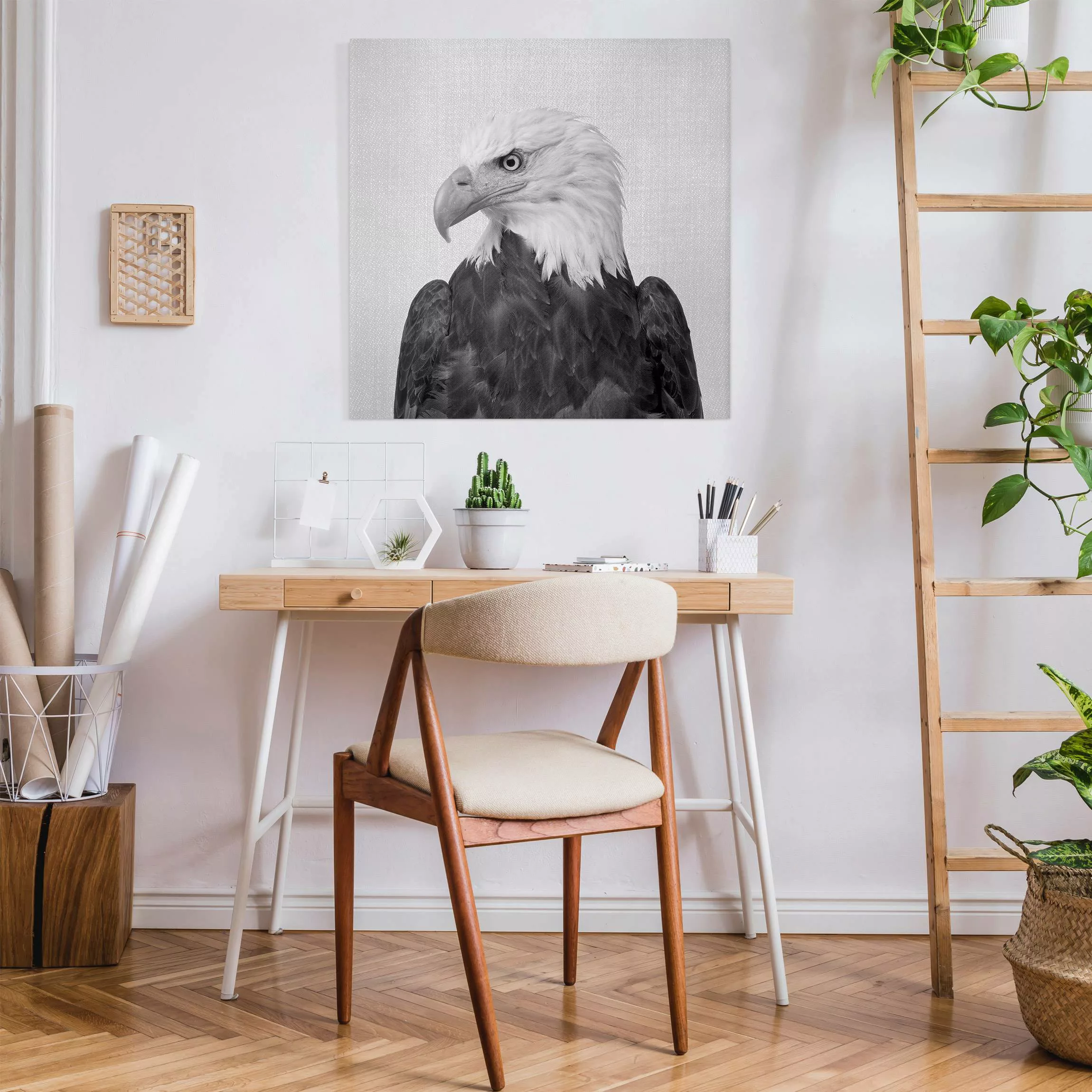 Leinwandbild Seeadler Sokrates Schwarz Weiß günstig online kaufen