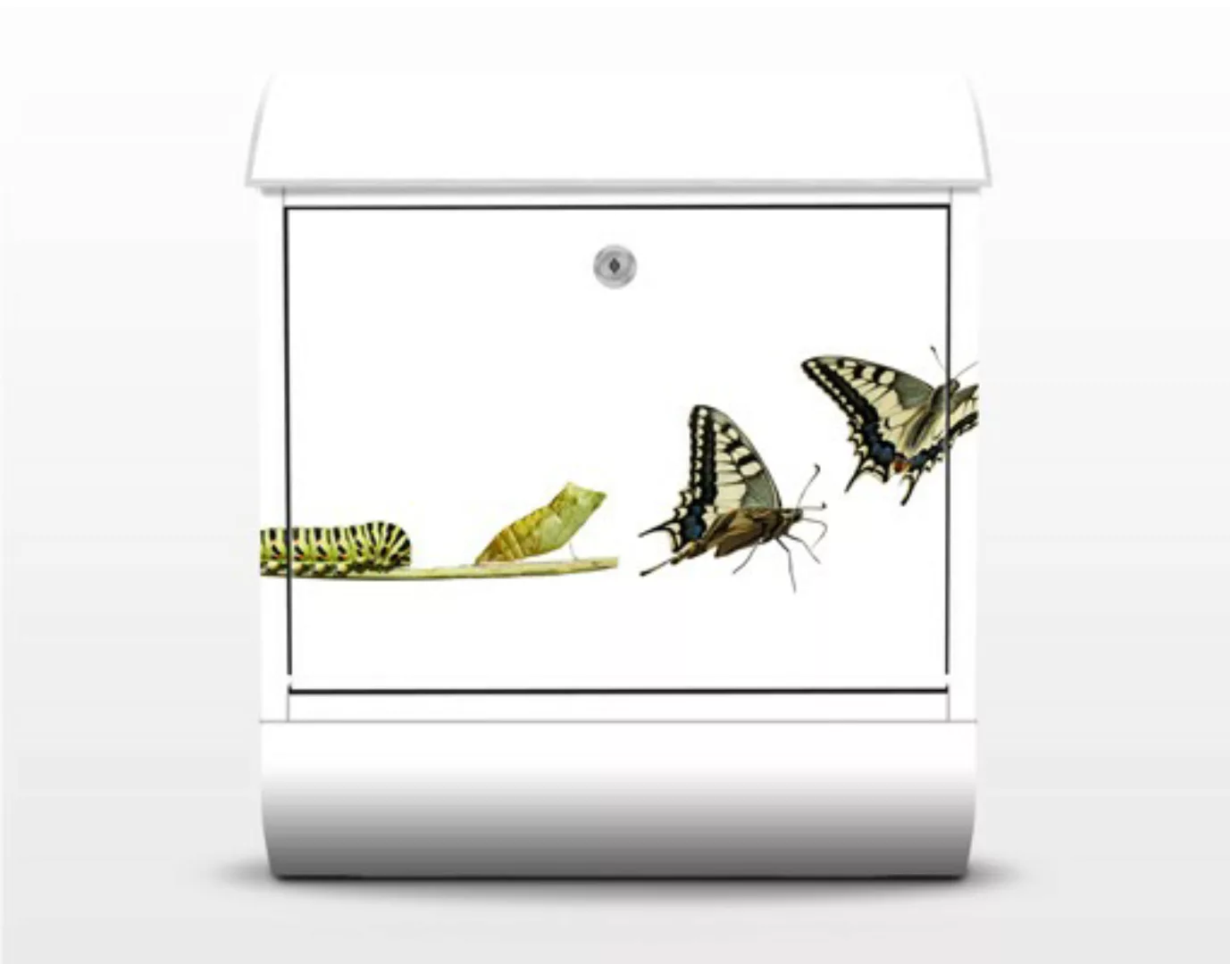 Briefkasten Tiere Metamorphose günstig online kaufen
