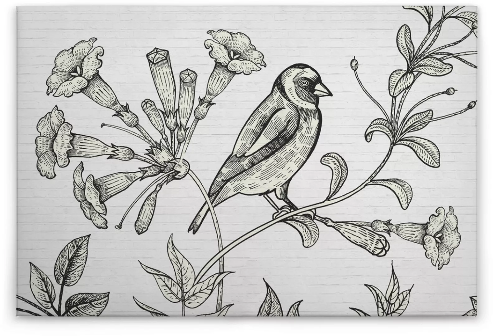 A.S. Création Leinwandbild "birdy", (1 St.) günstig online kaufen
