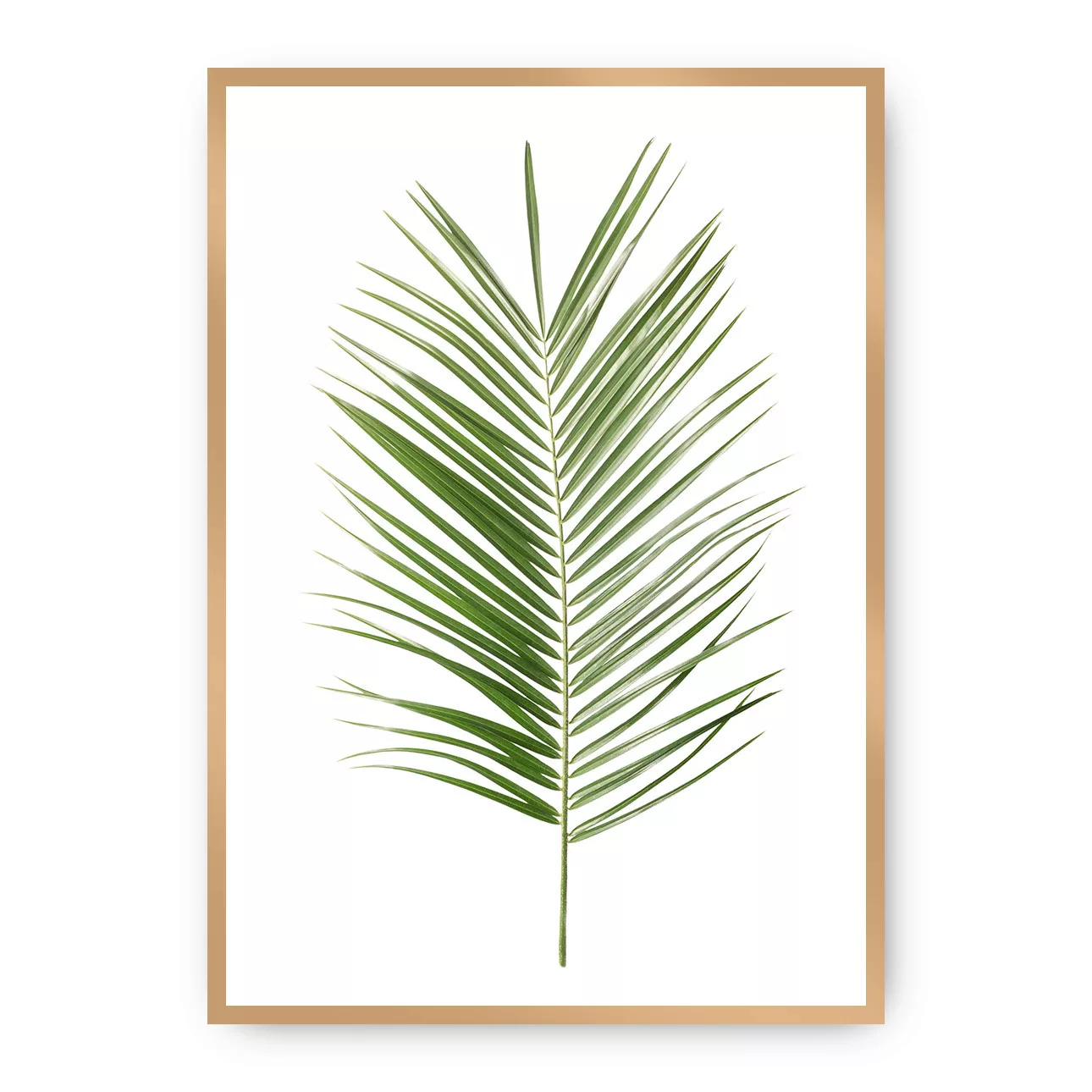 Poster Palm Leaf Green, 70 x 100 cm, Rahmen wählen: gold günstig online kaufen