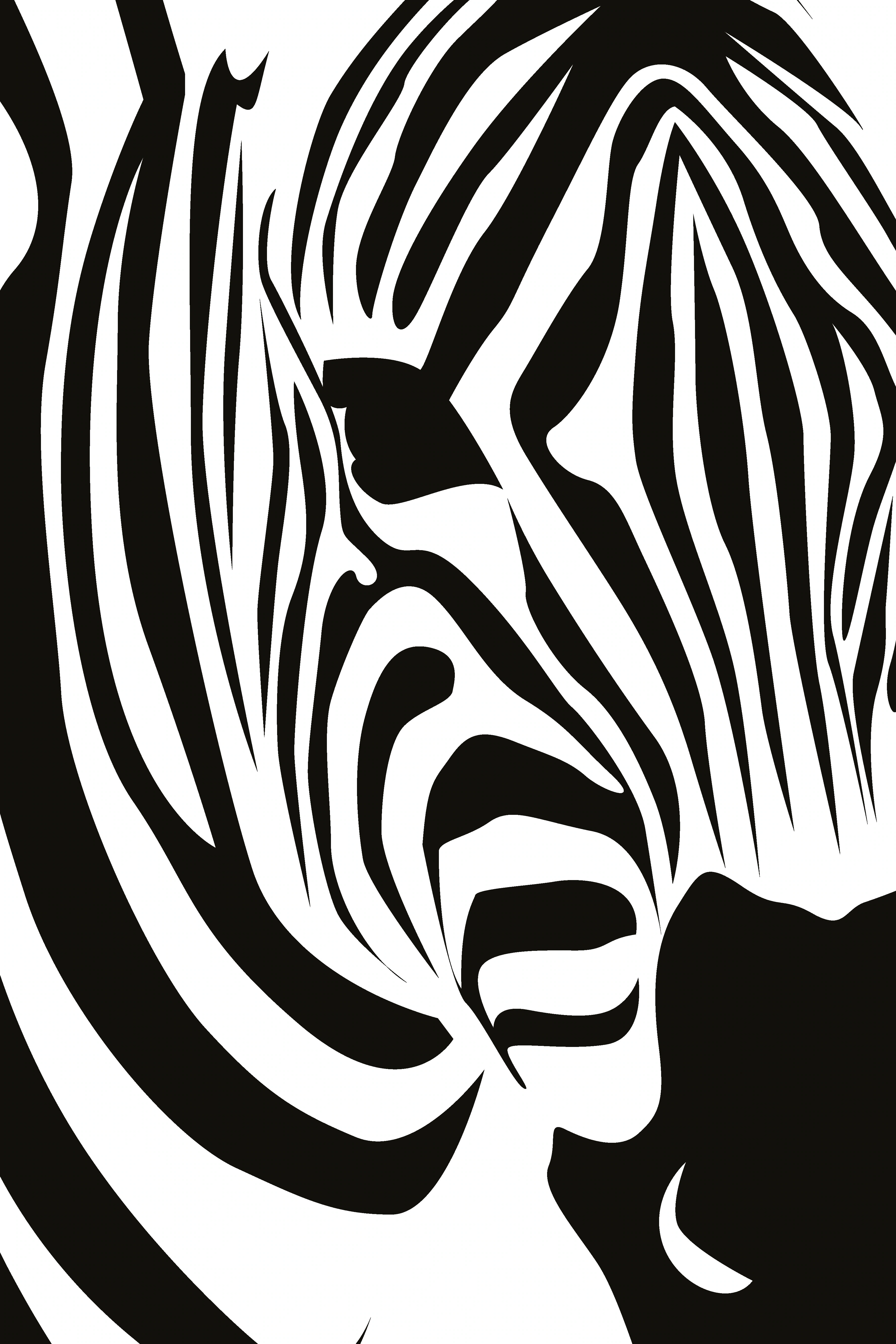 queence Metallbild "Zebra", Zebras-Schwarz-Weiß-Tiere, (1 St.), Stahlschild günstig online kaufen