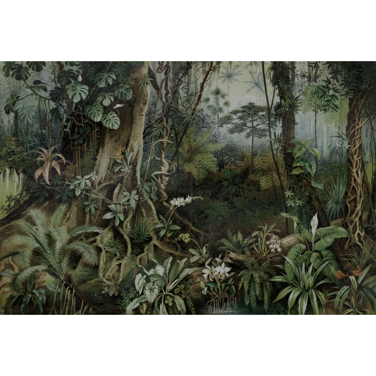 Fototapete  3D Wald Dschungel Grün Weiß 4,00m x 2,70m FSC® günstig online kaufen