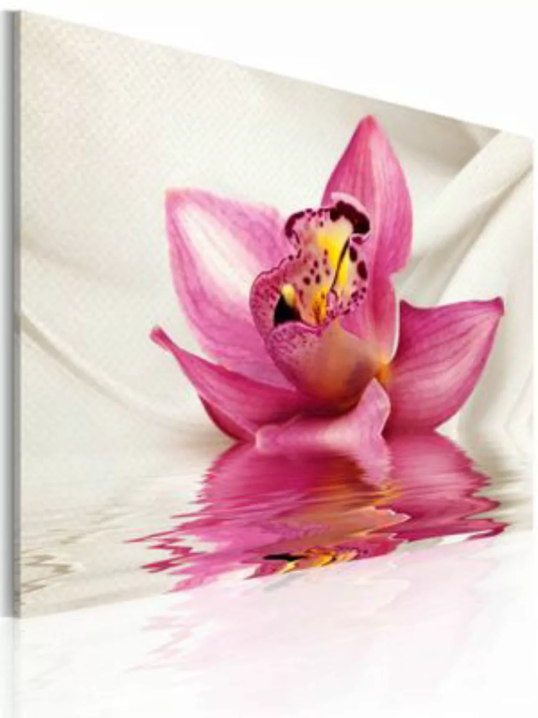 artgeist Wandbild Unusual orchid mehrfarbig Gr. 60 x 40 günstig online kaufen