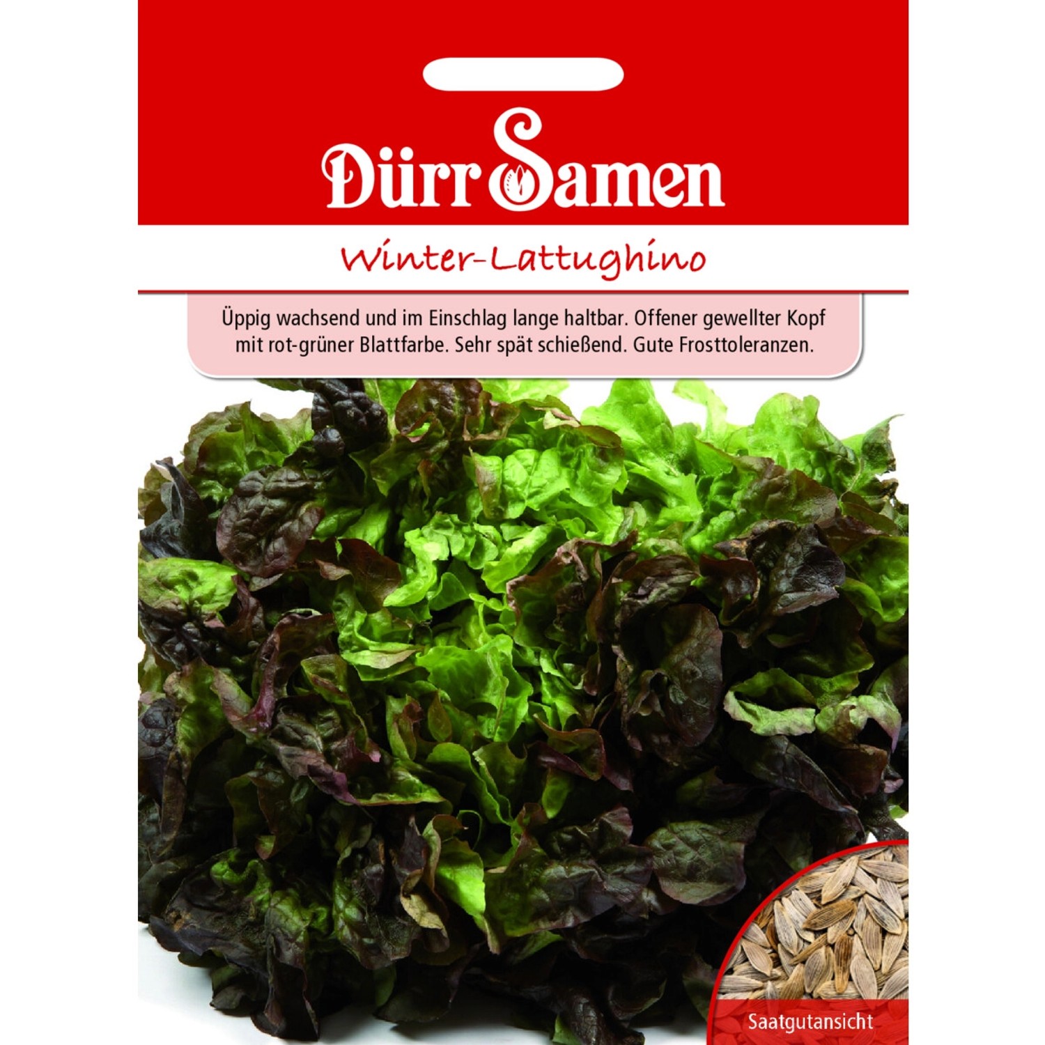Dürr Samen Winter-Lattughino Saatgut günstig online kaufen