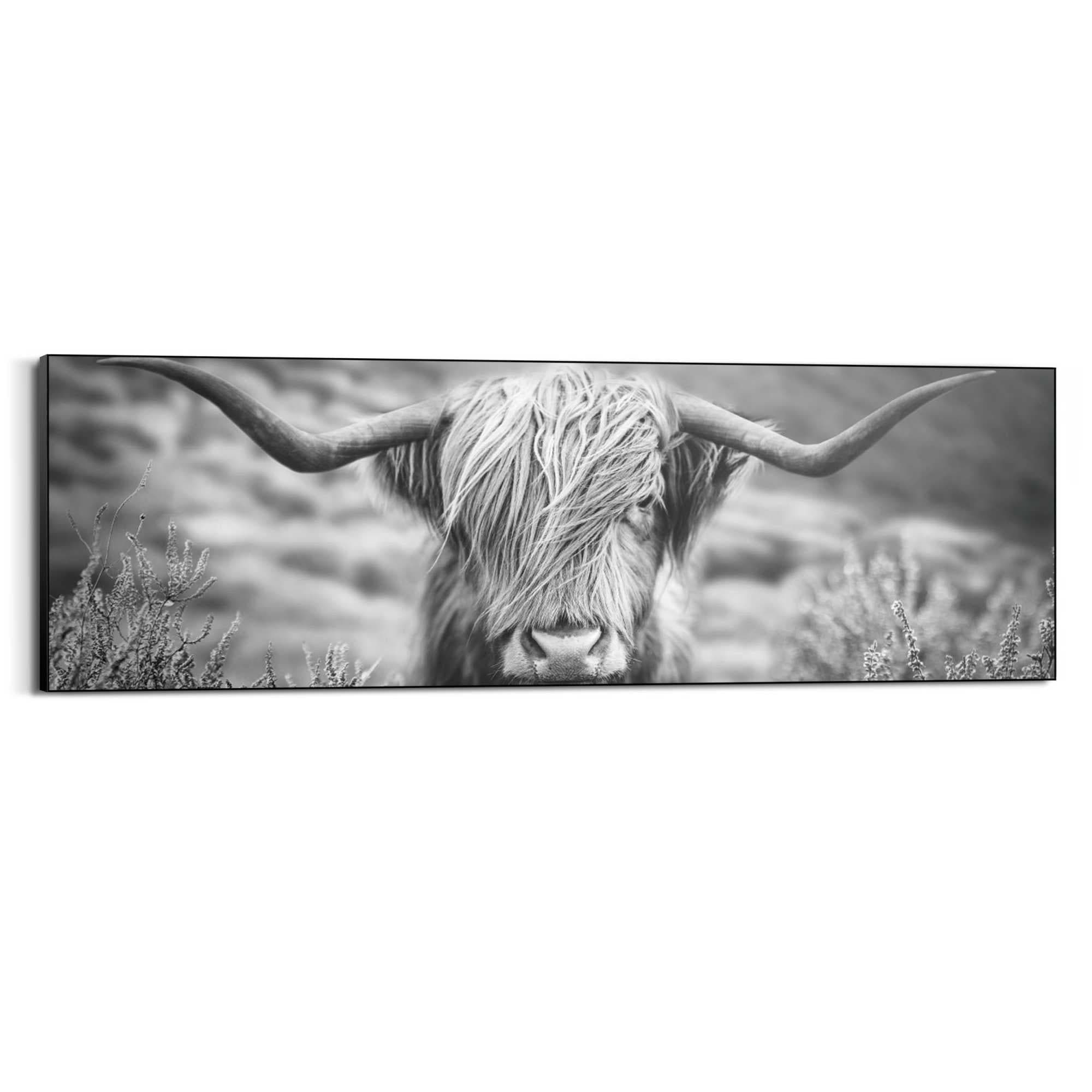 Reinders! Wandbild »Highlander Bulle« günstig online kaufen