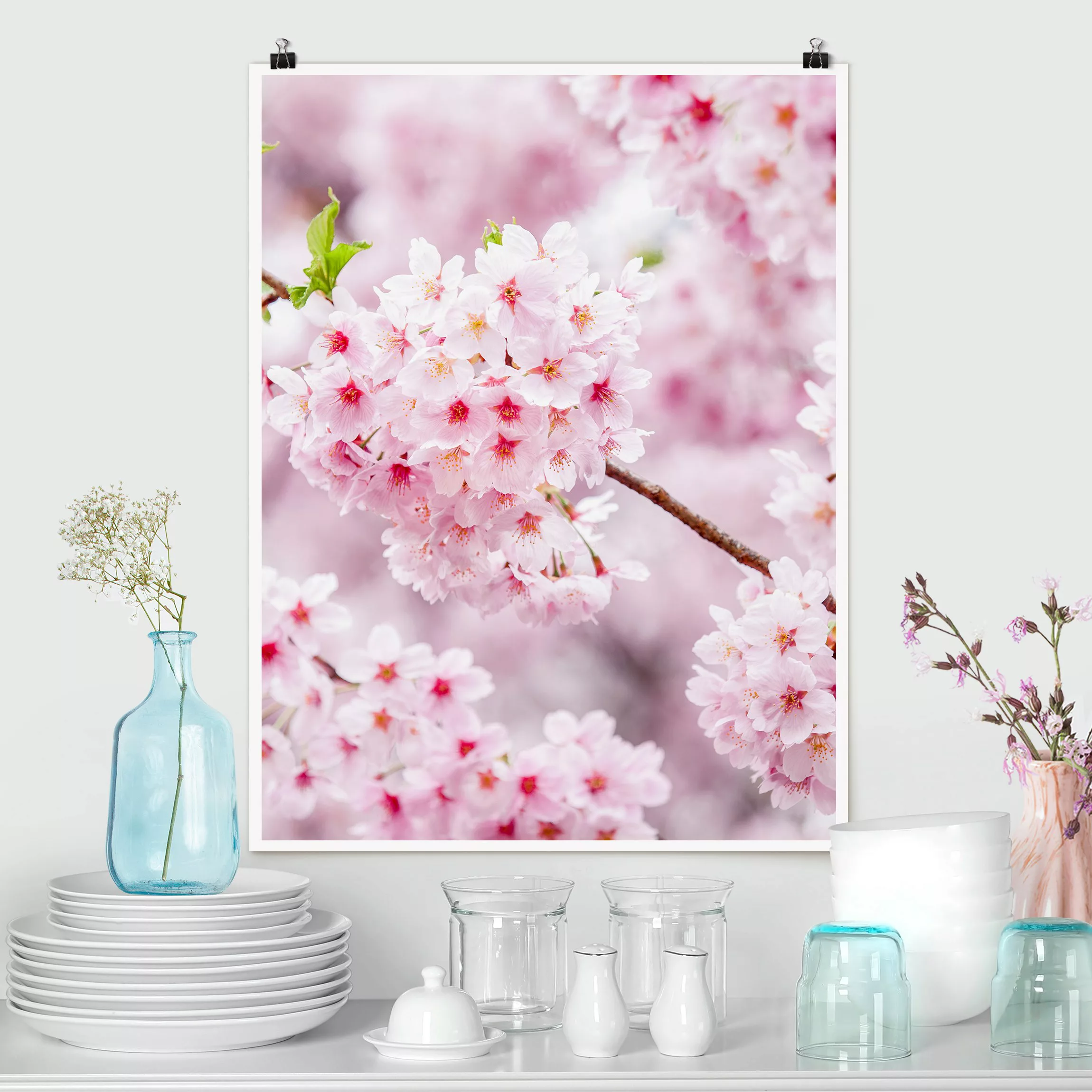 Poster Japanische Kirschblüten günstig online kaufen