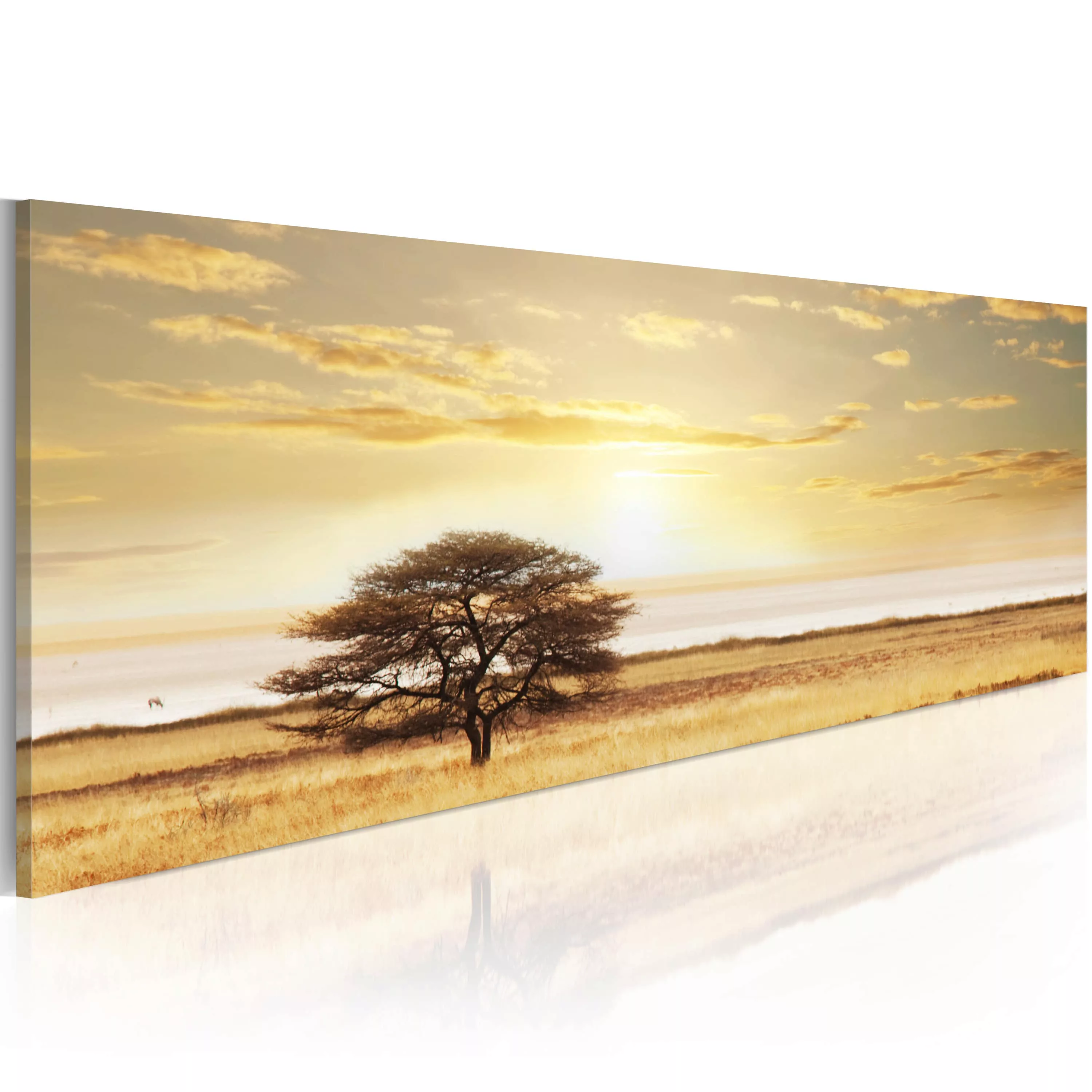 Wandbild - Lonely tree on savannah günstig online kaufen