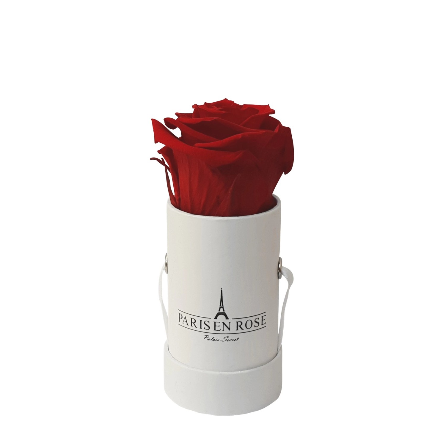 Rosenbox Ø 5 cm Weiß mit einer Bordeaux Rose günstig online kaufen