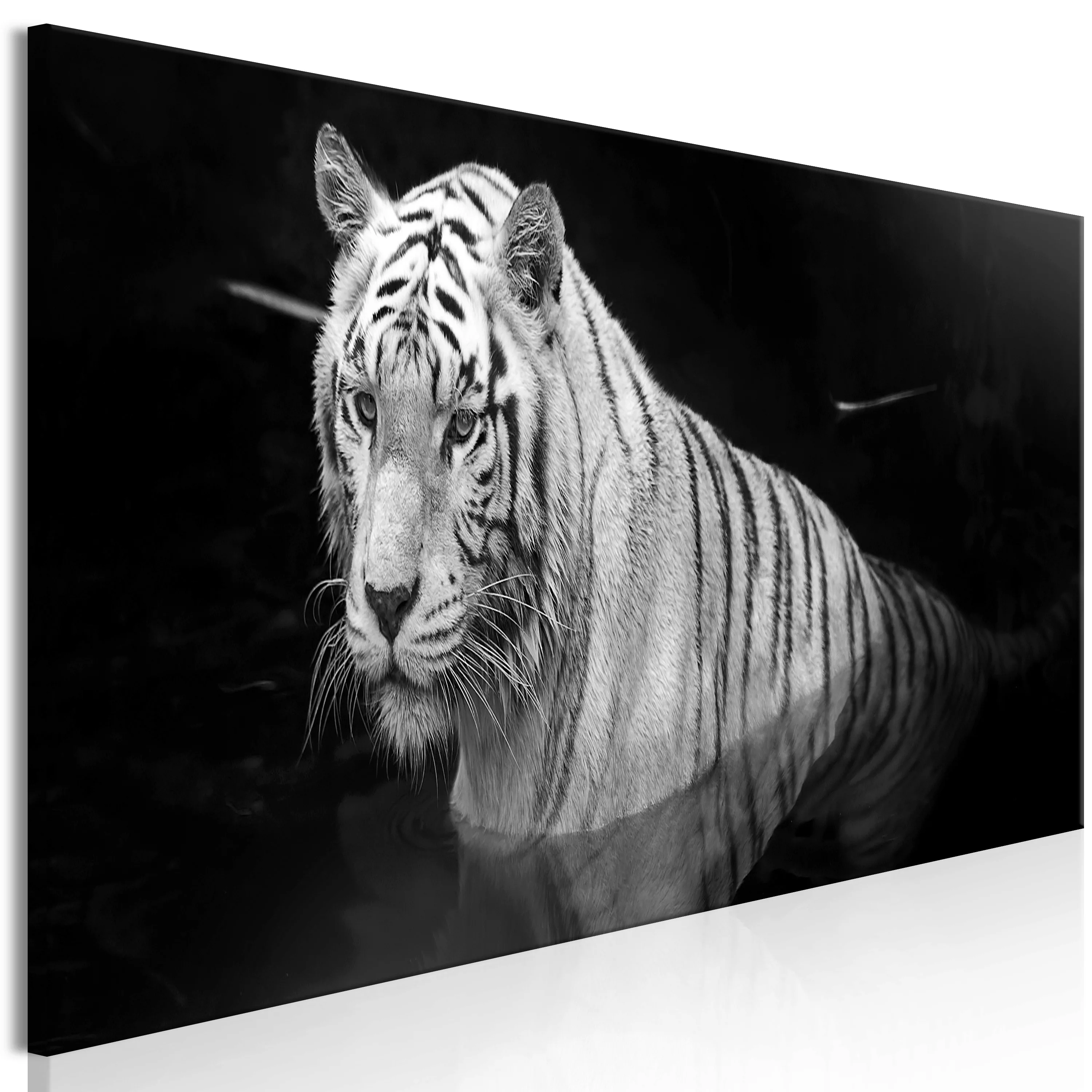Wandbild - Shining Tiger (1 Part) Black And White Narrow günstig online kaufen