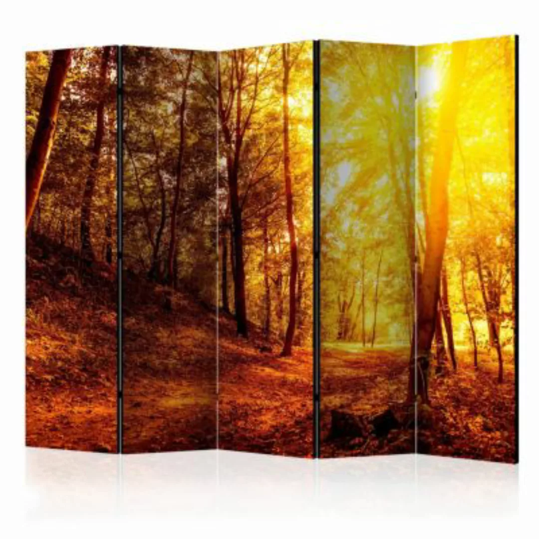 artgeist Paravent Autumn Walk II [Room Dividers] mehrfarbig Gr. 225 x 172 günstig online kaufen