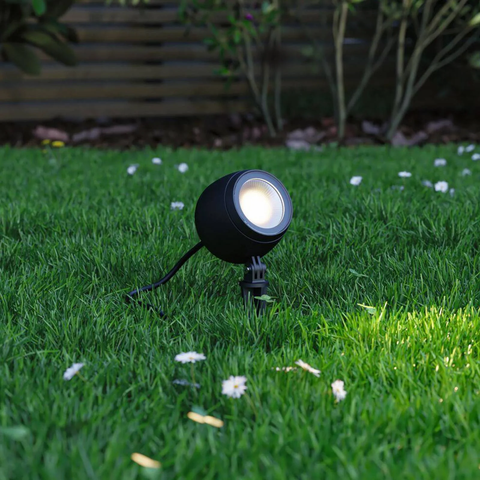 Paulmann Smart LED-Erdspießspot Kikolo, CCT, anthrazit, IP65 günstig online kaufen