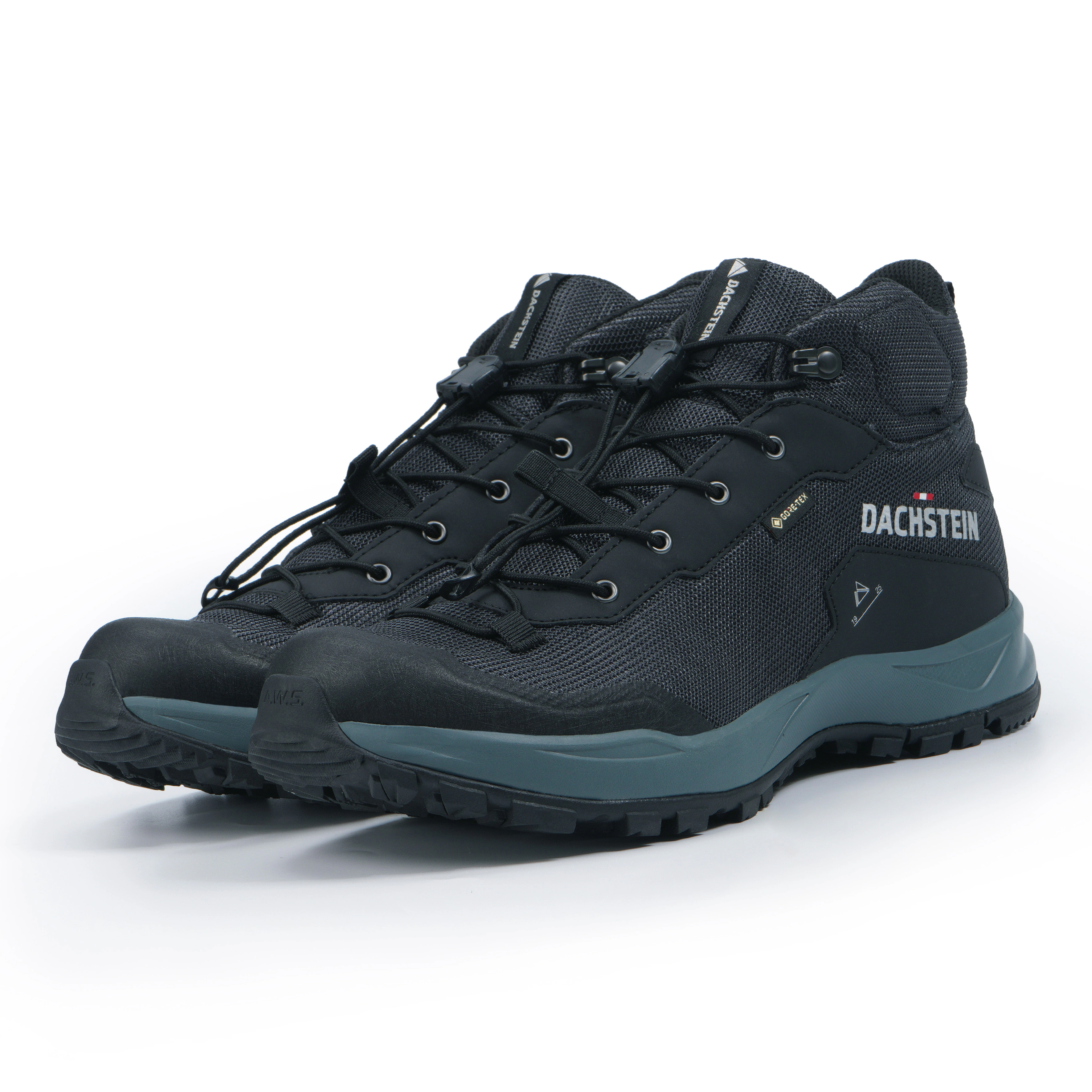 Dachstein Wanderschuh "DELTA ASCENT MC GTXW", wasserdicht günstig online kaufen