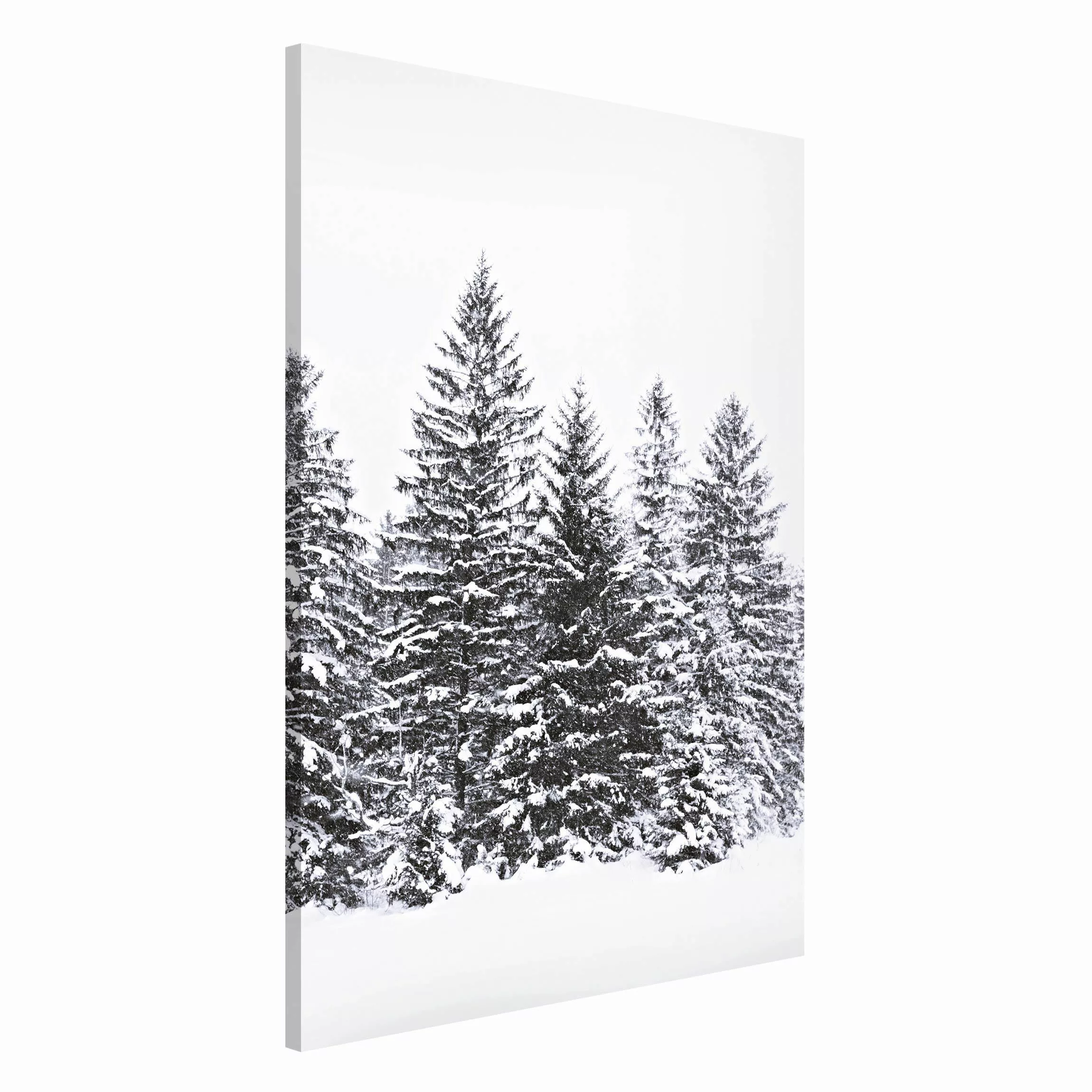 Magnettafel Dunkle Winterlandschaft günstig online kaufen