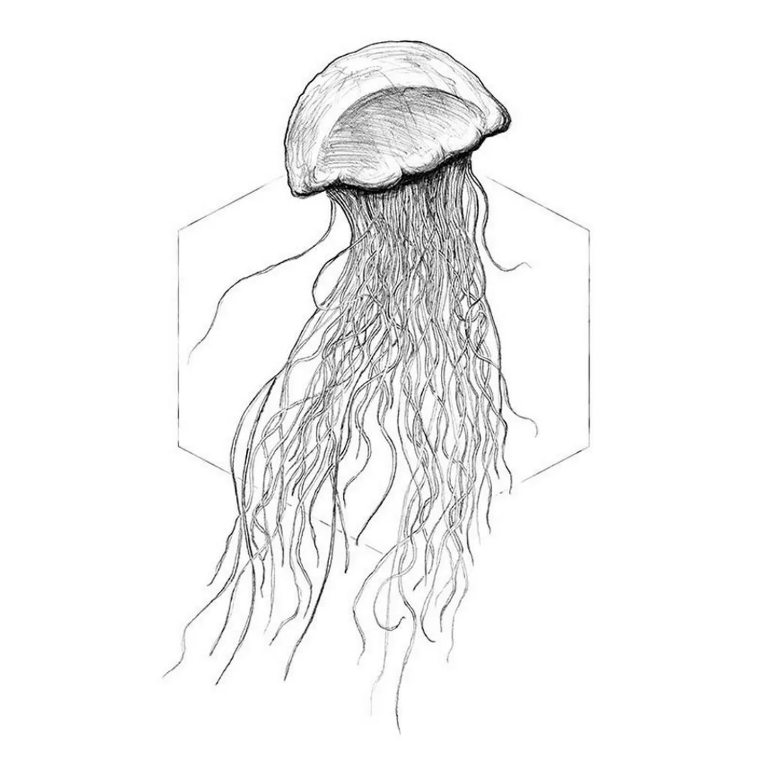 Komar Wandbild Jellyfish White Tiere B/L: ca. 30x40 cm günstig online kaufen