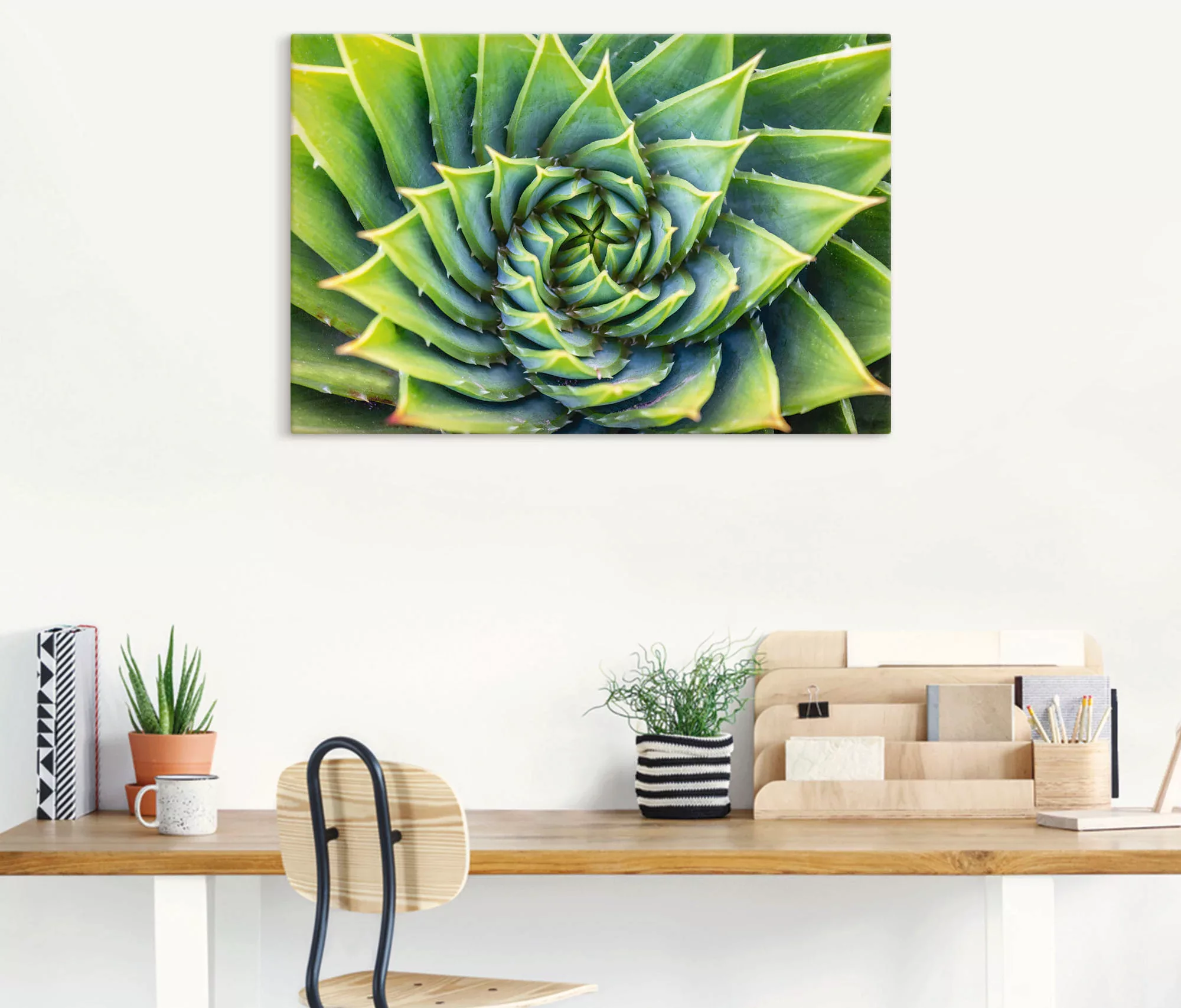 Artland Wandbild "Grüne Spirale", Pflanzenbilder, (1 St.), als Alubild, Lei günstig online kaufen