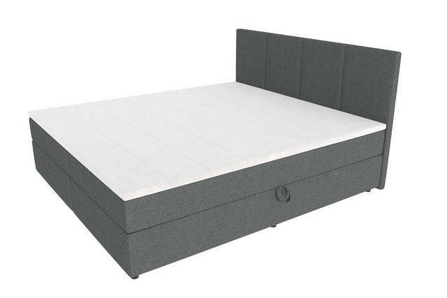 Boxspringbett Alvaro (Schlafzimmerbett, Bett), 140/160/180x200, mit Topper, günstig online kaufen