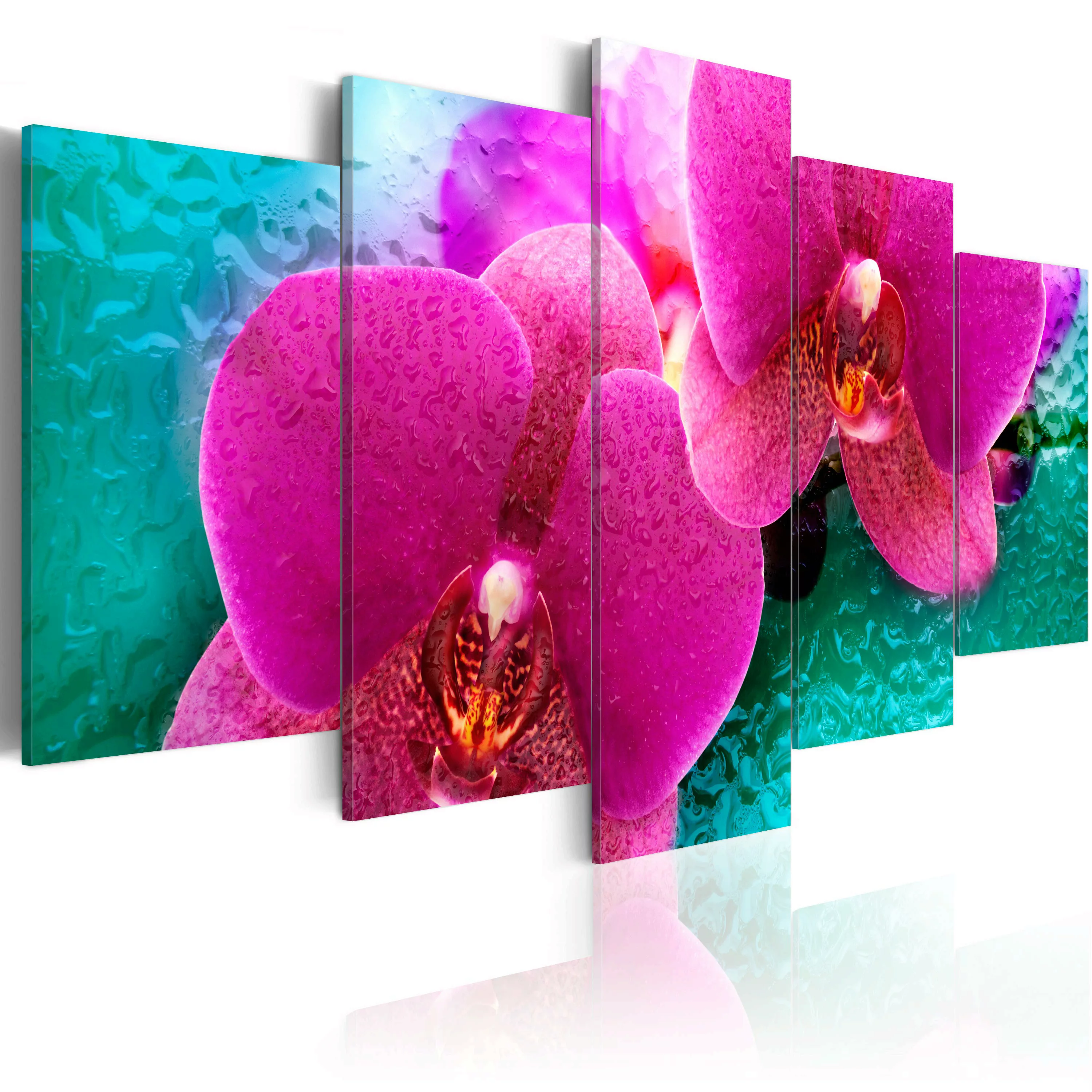 Wandbild - Exotic Orchids günstig online kaufen