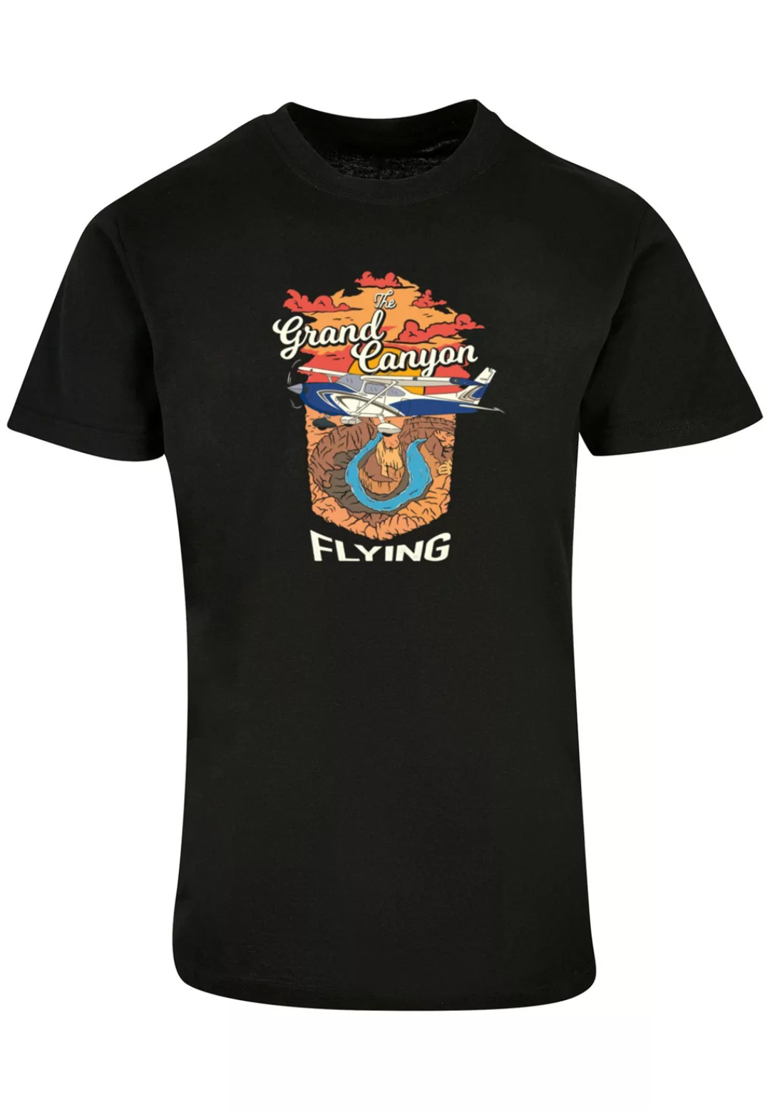 F4NT4STIC T-Shirt "Grand Canyon Flying", Print günstig online kaufen