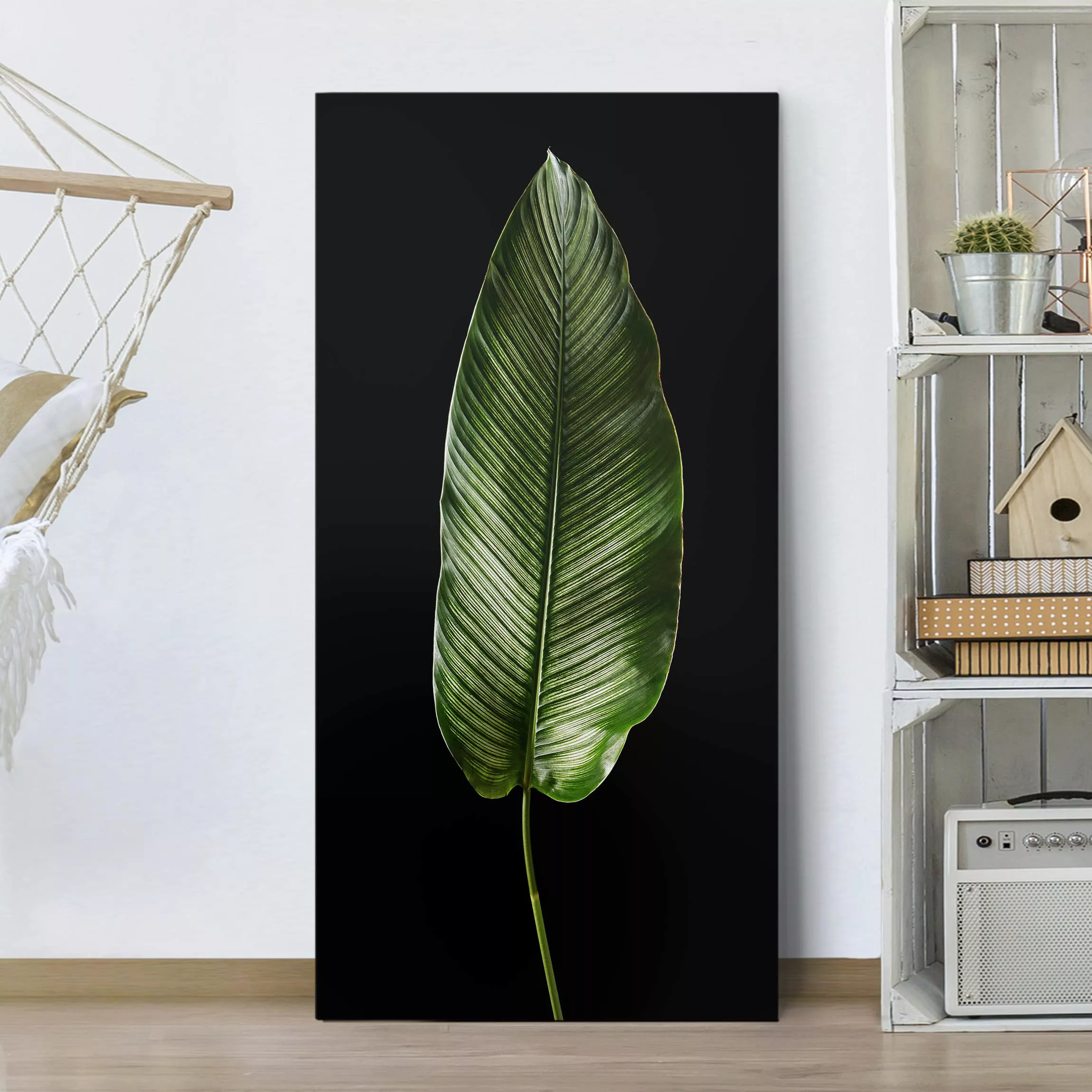 Leinwandbild Botanik - Hochformat Blatt Calathea-ornata auf Schwarz 01 günstig online kaufen