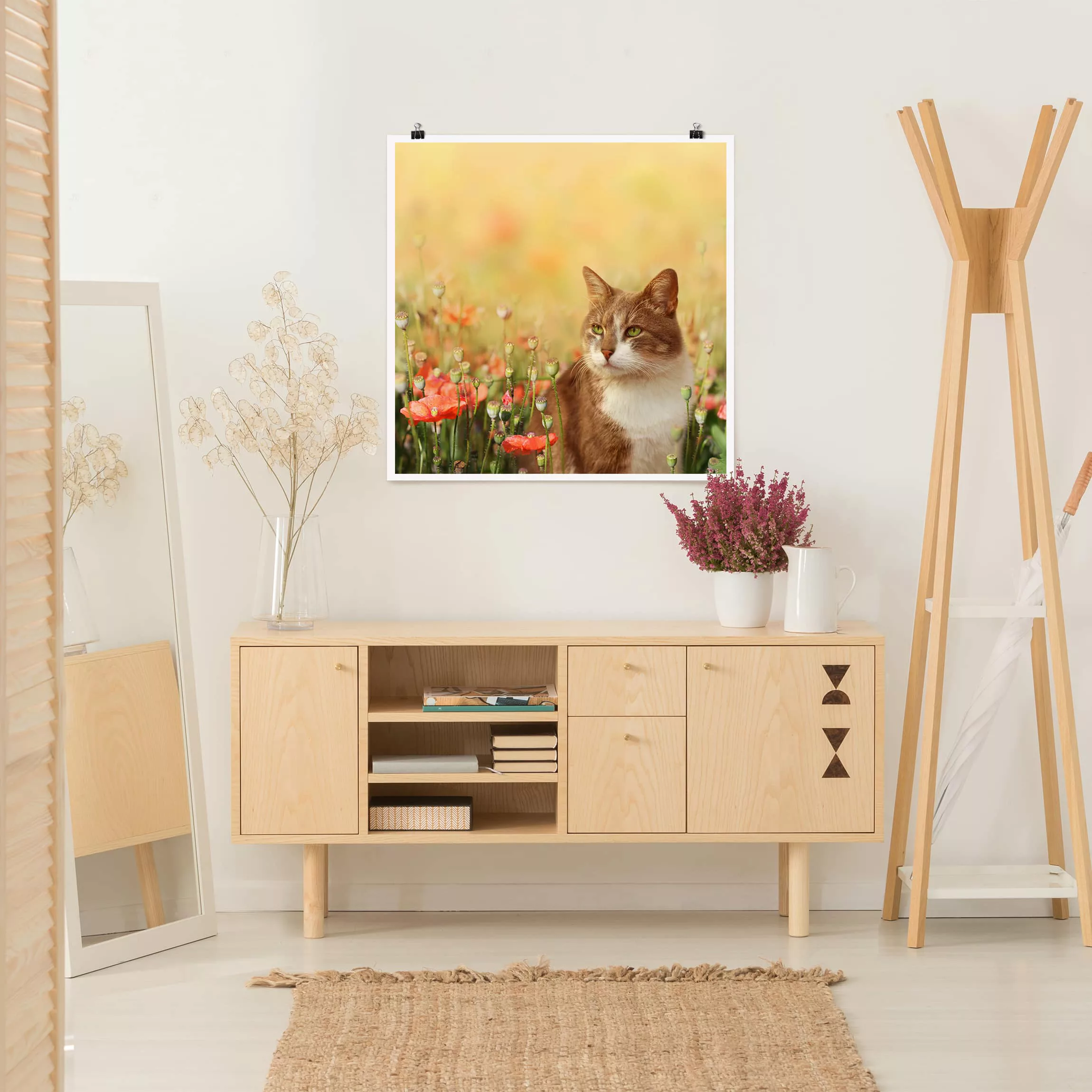 Poster Blumen - Quadrat Katze im Mohnfeld günstig online kaufen