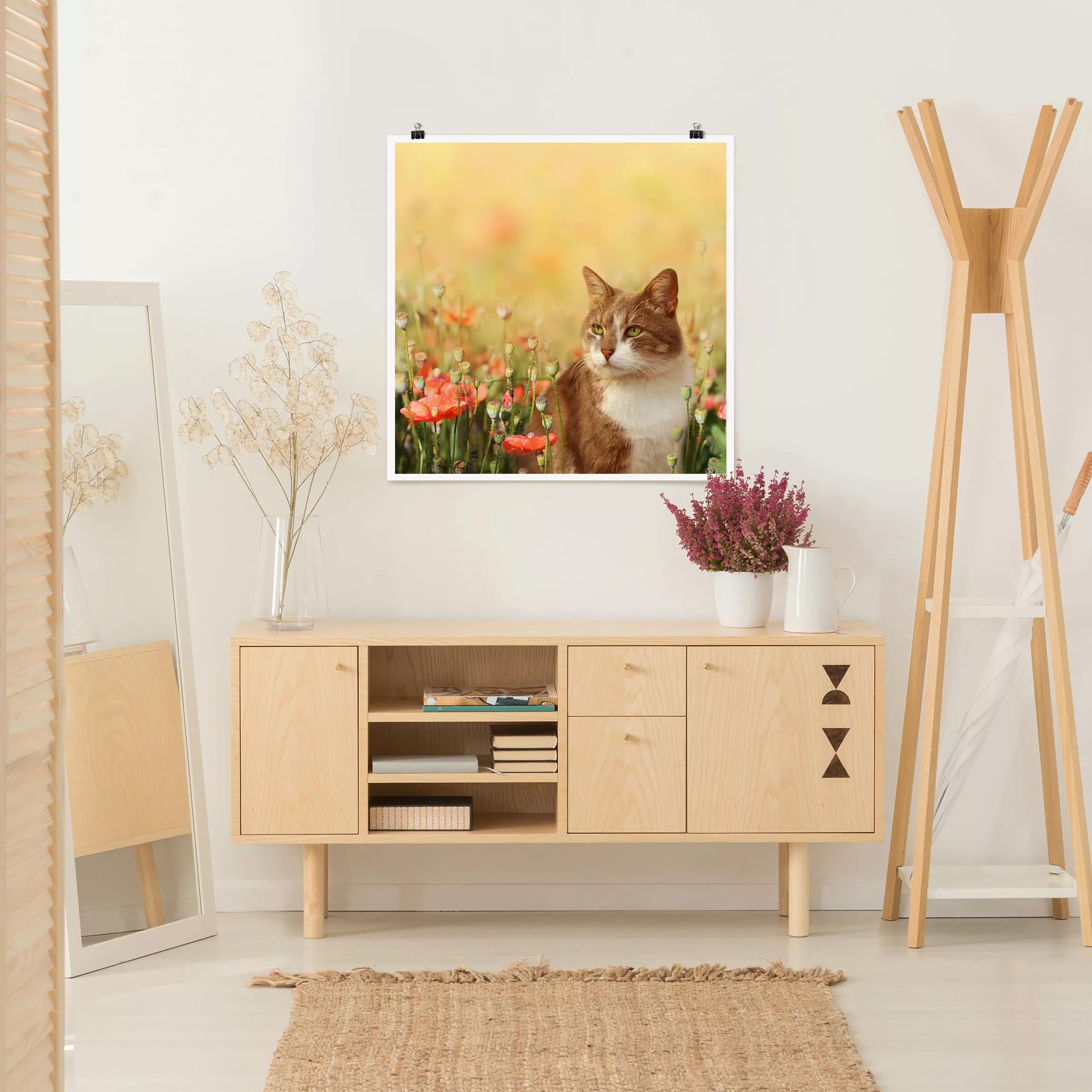 Poster - Quadrat Katze im Mohnfeld günstig online kaufen