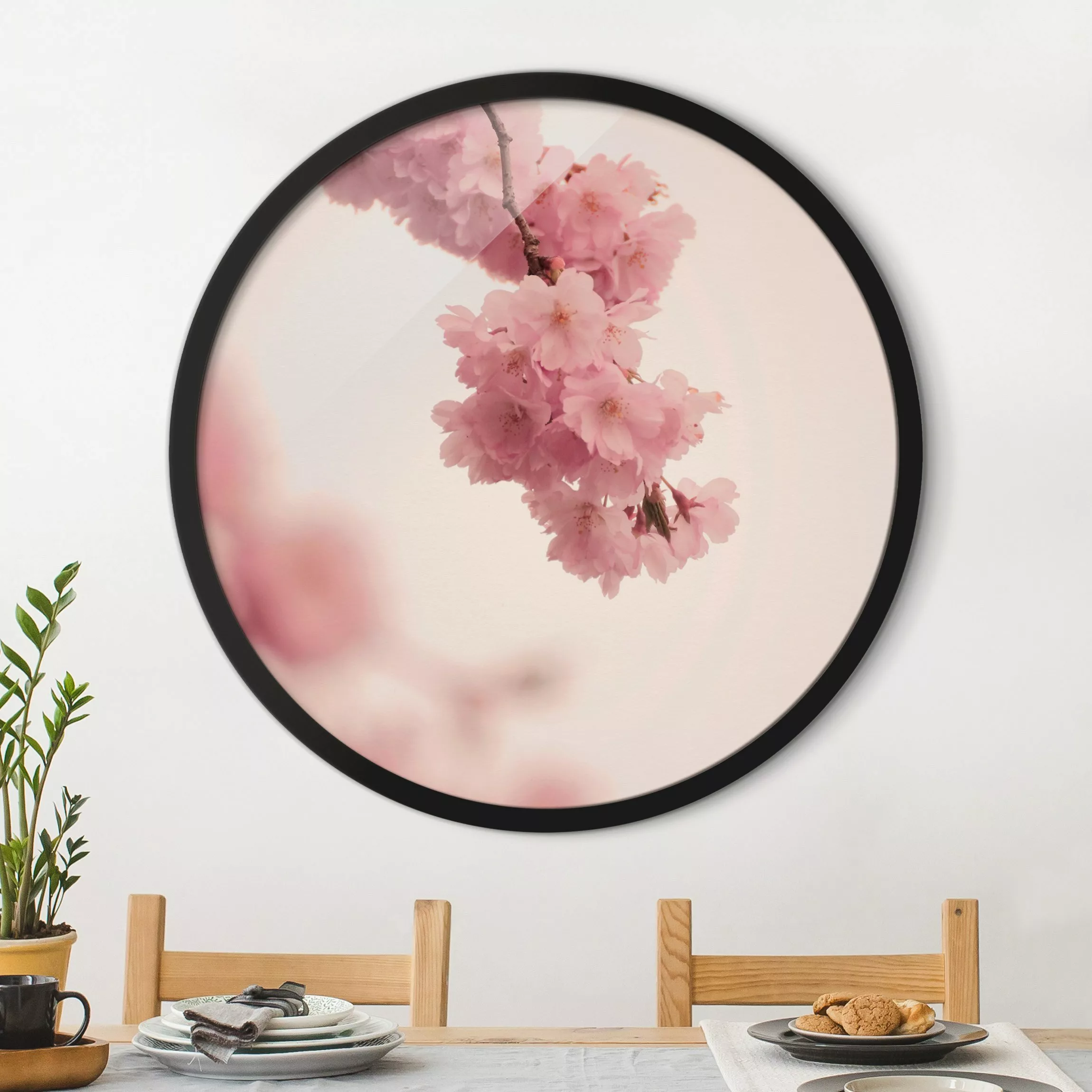 Rundes Gerahmtes Bild Zartrosane Frühlingsblüte mit Bokeh günstig online kaufen