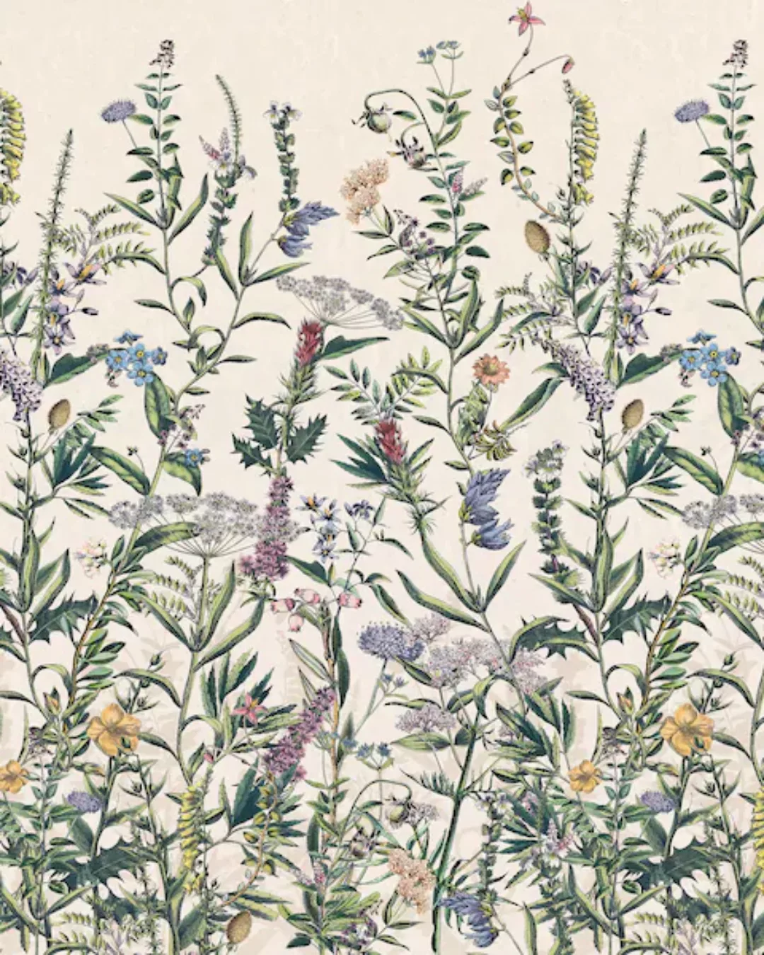 KOMAR Vlies Fototapete - Flowering Herbs  - Größe 200 x 250 cm mehrfarbig günstig online kaufen