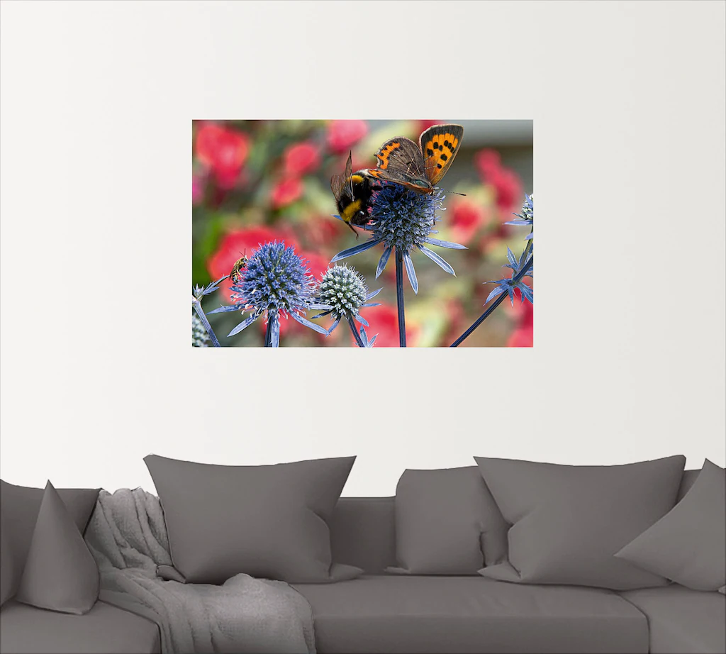 Artland Wandbild »Kleiner Feuerfalter und Hummel«, Insekten, (1 St.), als A günstig online kaufen