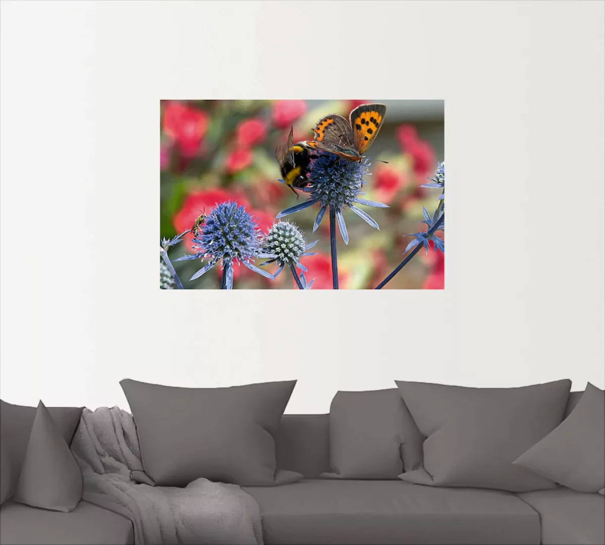 Artland Wandbild "Kleiner Feuerfalter und Hummel", Insekten, (1 St.), als A günstig online kaufen