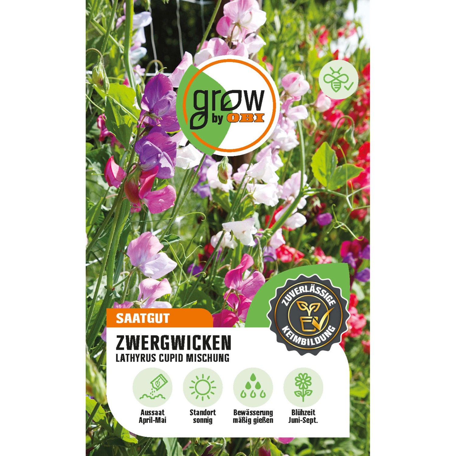 GROW by OBI Zwergwicken Lathyrus Cupid Mehrfarbig Höhe ca. 30 cm günstig online kaufen