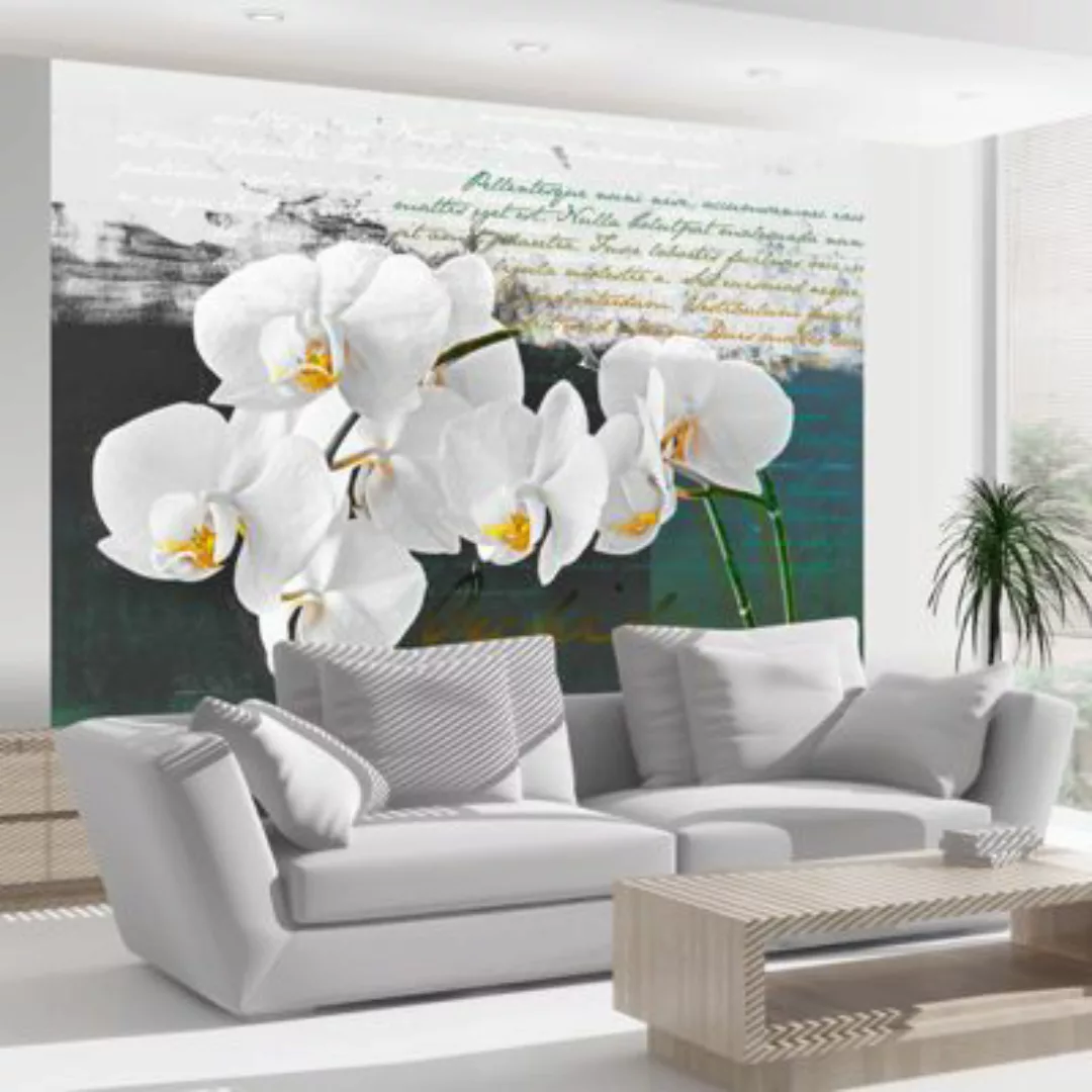 artgeist Fototapete Orchidee -  Inspiration des Dichters türkis/weiß Gr. 35 günstig online kaufen