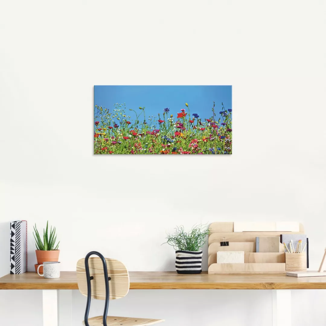 Artland Glasbild »Blumenwiese II«, Blumenwiese, (1 St.), in verschiedenen G günstig online kaufen