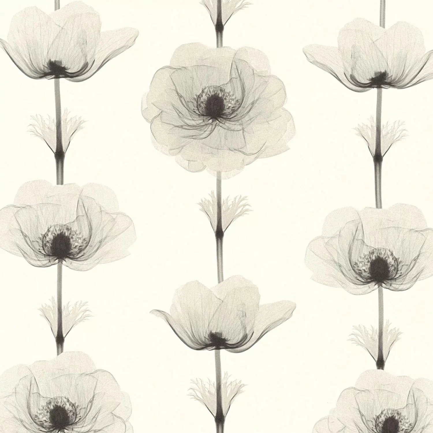 Bricoflor ausgefallene Blumentapete in Schwarz Weiß Esszimmer und Wohnzimme günstig online kaufen