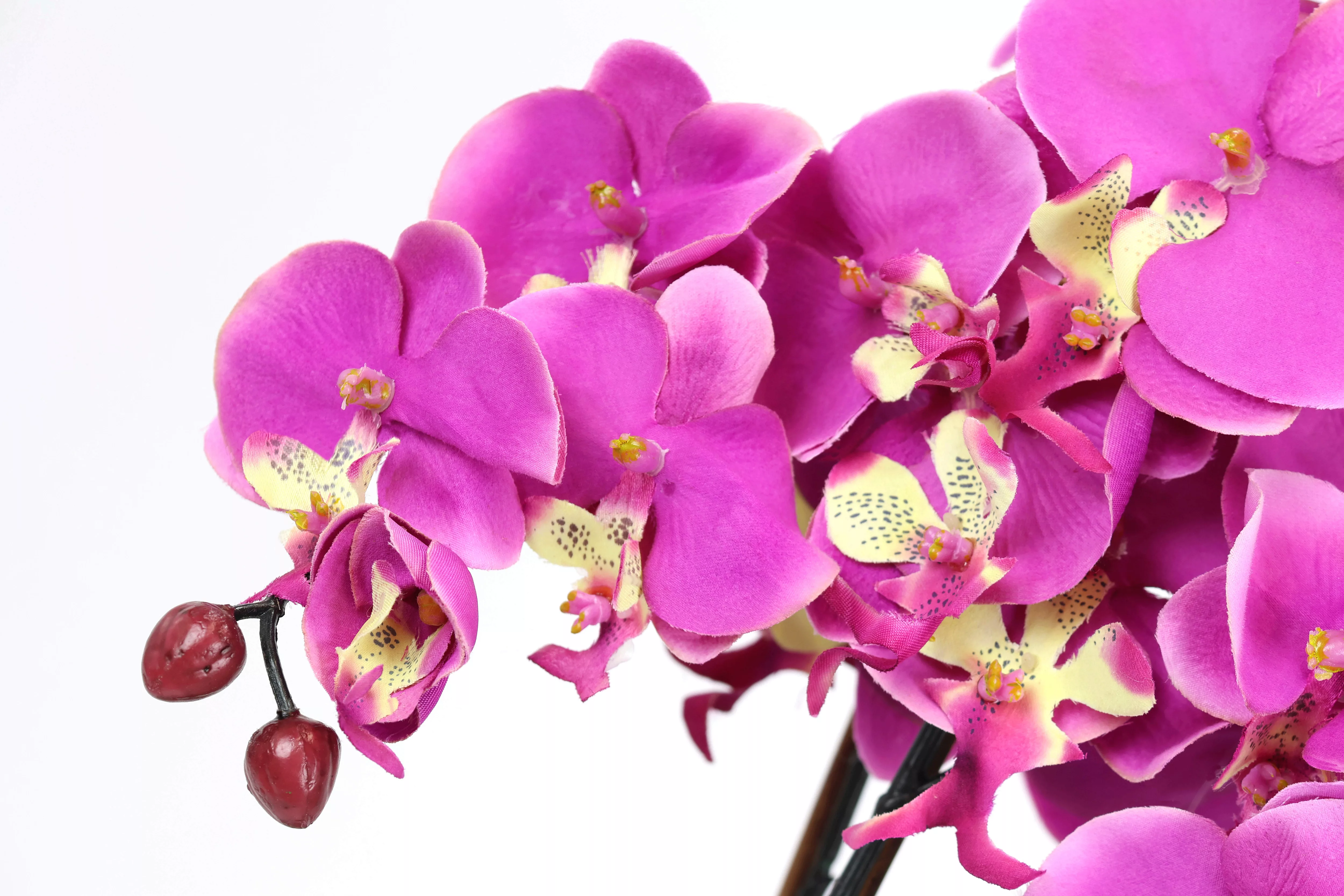 I.GE.A. Kunstblume "Künstliche Orchidee in Schale Phalaenopsis Kunstblume B günstig online kaufen