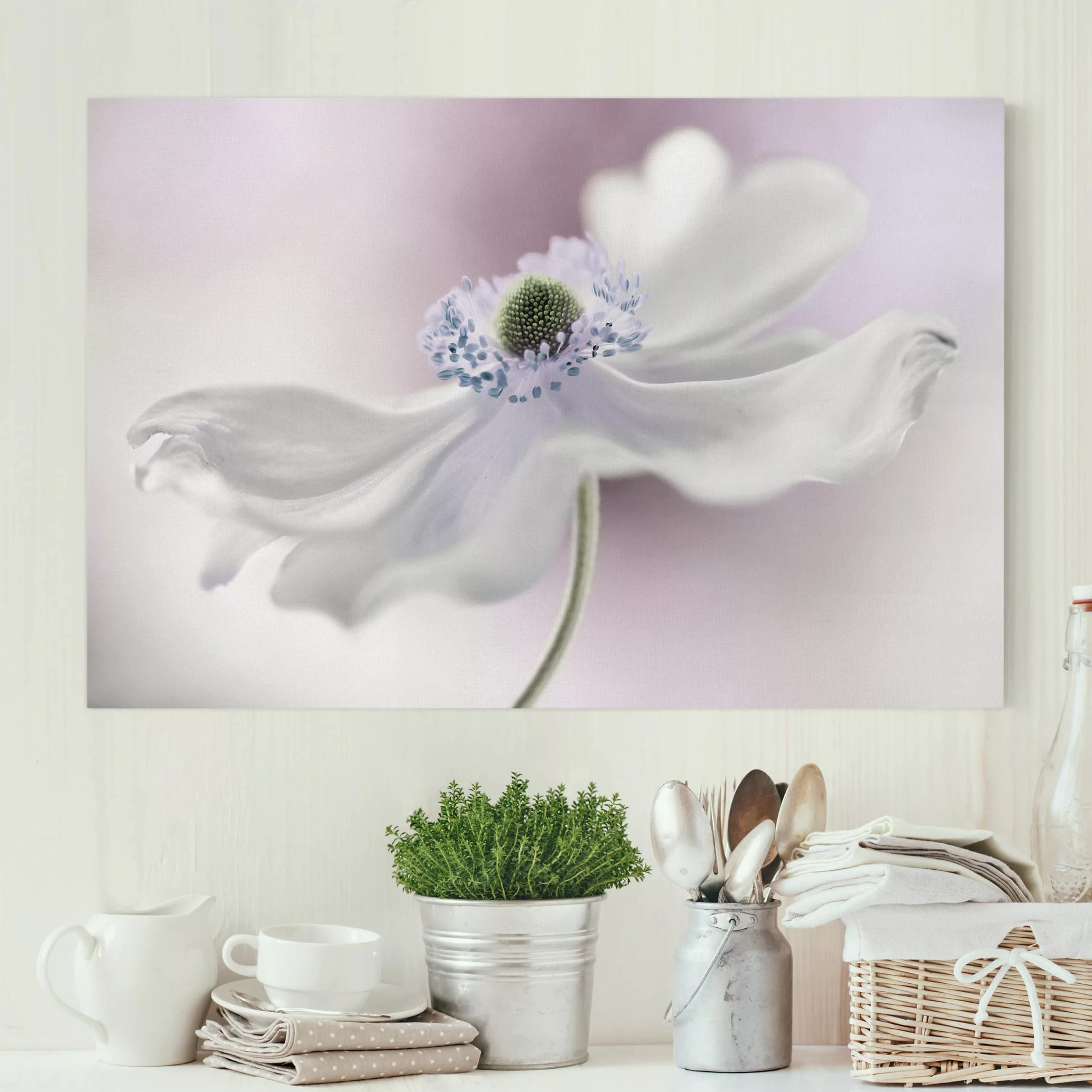 Leinwandbild Blumen - Querformat Anemonenbrise günstig online kaufen