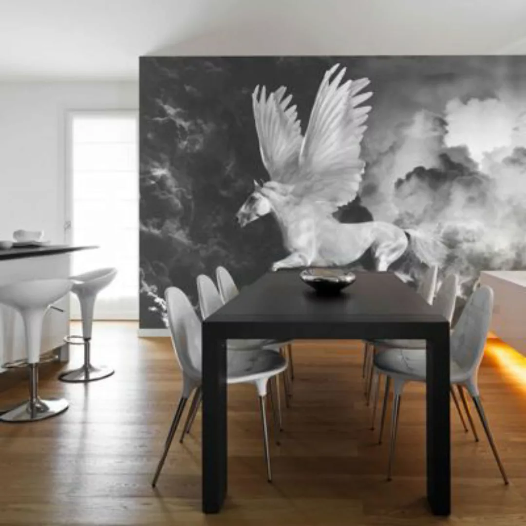 artgeist Fototapete Pegasus auf dem Weg zum Olymp schwarz/weiß Gr. 300 x 23 günstig online kaufen