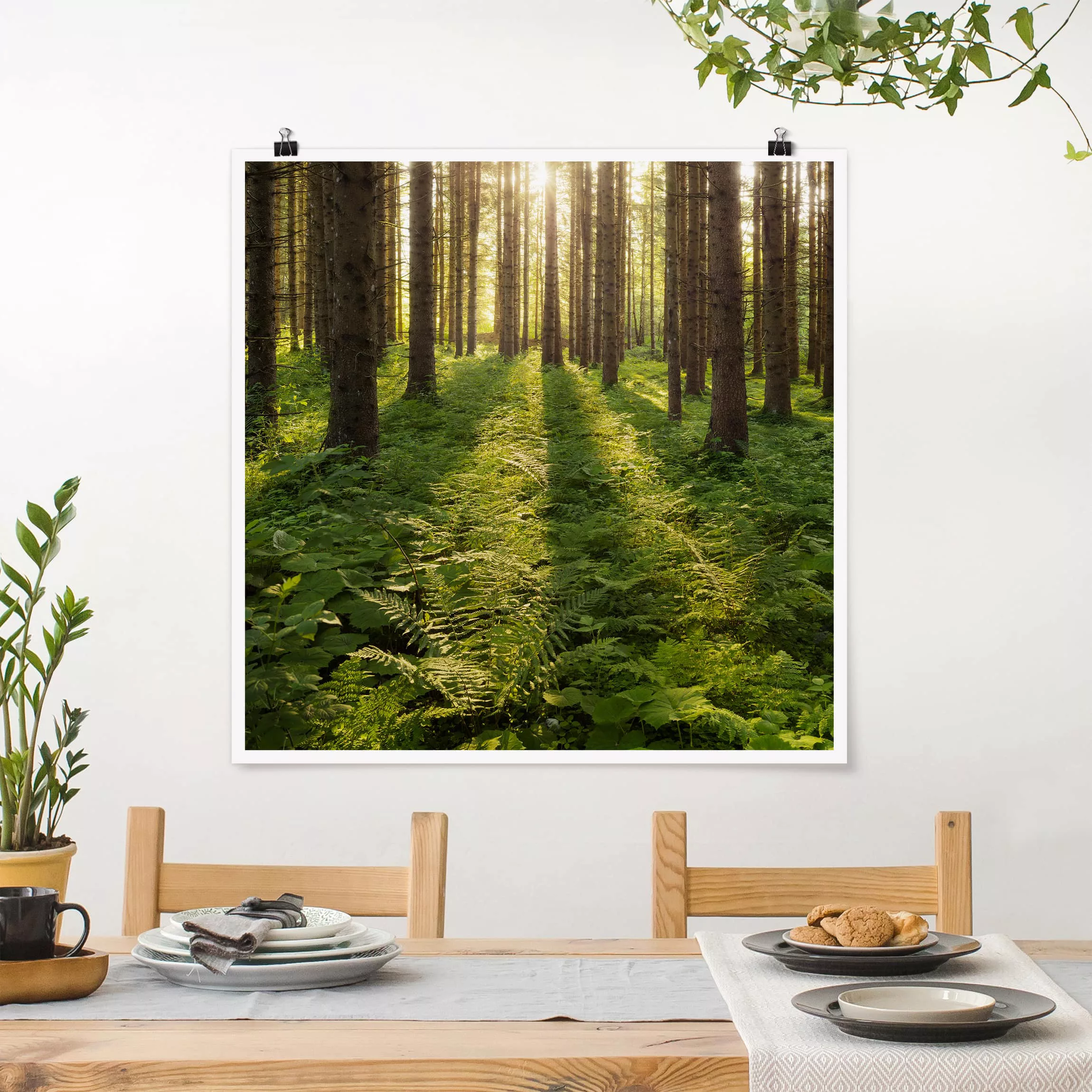 Poster Natur & Landschaft - Quadrat Sonnenstrahlen in grünem Wald günstig online kaufen