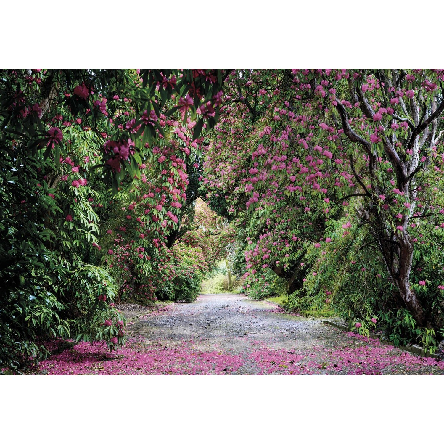Sanders & Sanders Fototapete Landschaft Grün und Rosa 368 x 254 cm 612269 günstig online kaufen