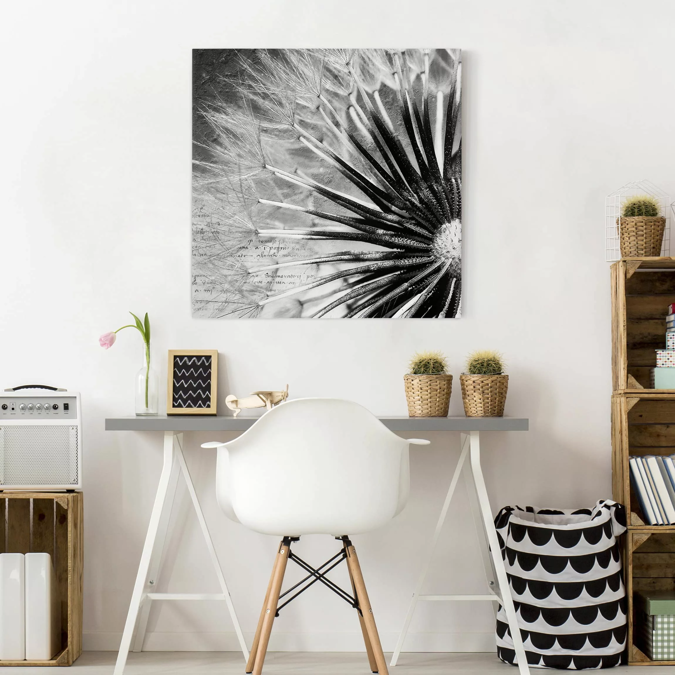 Leinwandbild Blumen - Quadrat Pusteblume Schwarz & Weiß günstig online kaufen