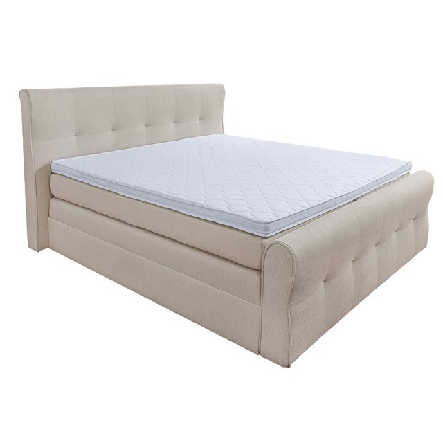 riess-ambiente Boxspringbett SIGNUM 180x200cm creme · Kingsize (Einzelartik günstig online kaufen