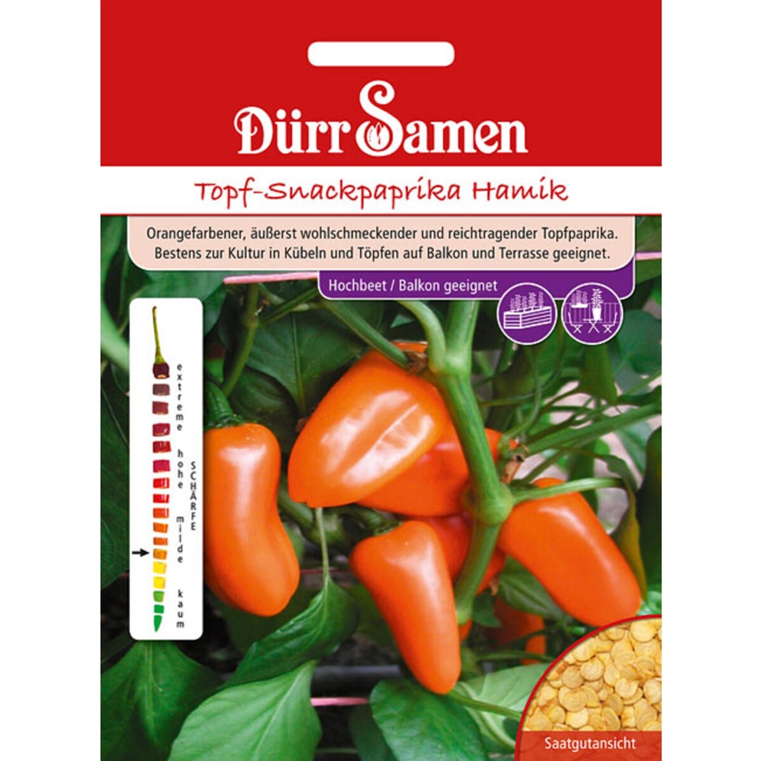 Dürr Samen Topf-Snackpaprika Hamik Saatgut günstig online kaufen